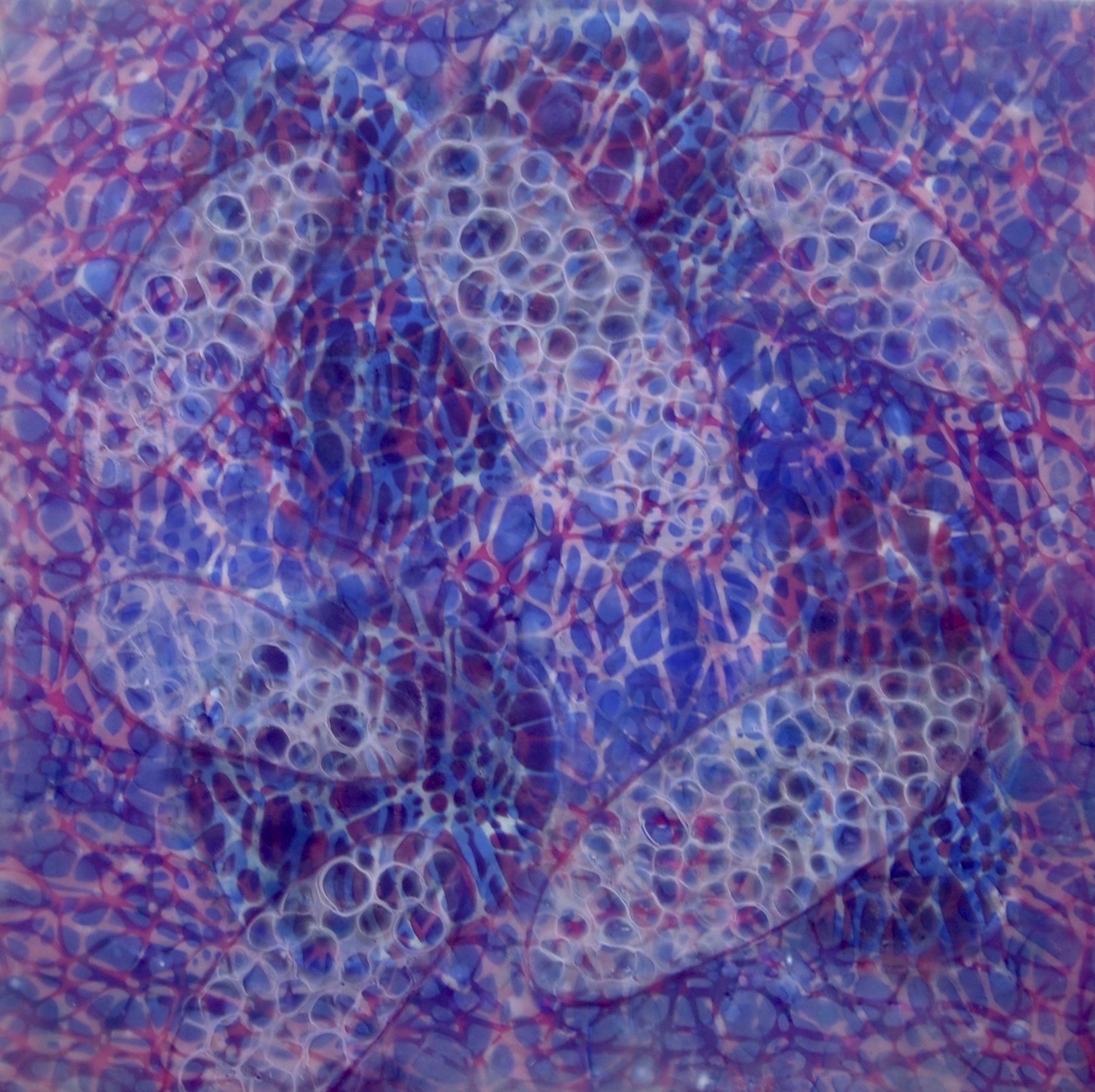 Hartung, Bio Patterns 9 , Encaustic, pastel, 20x20