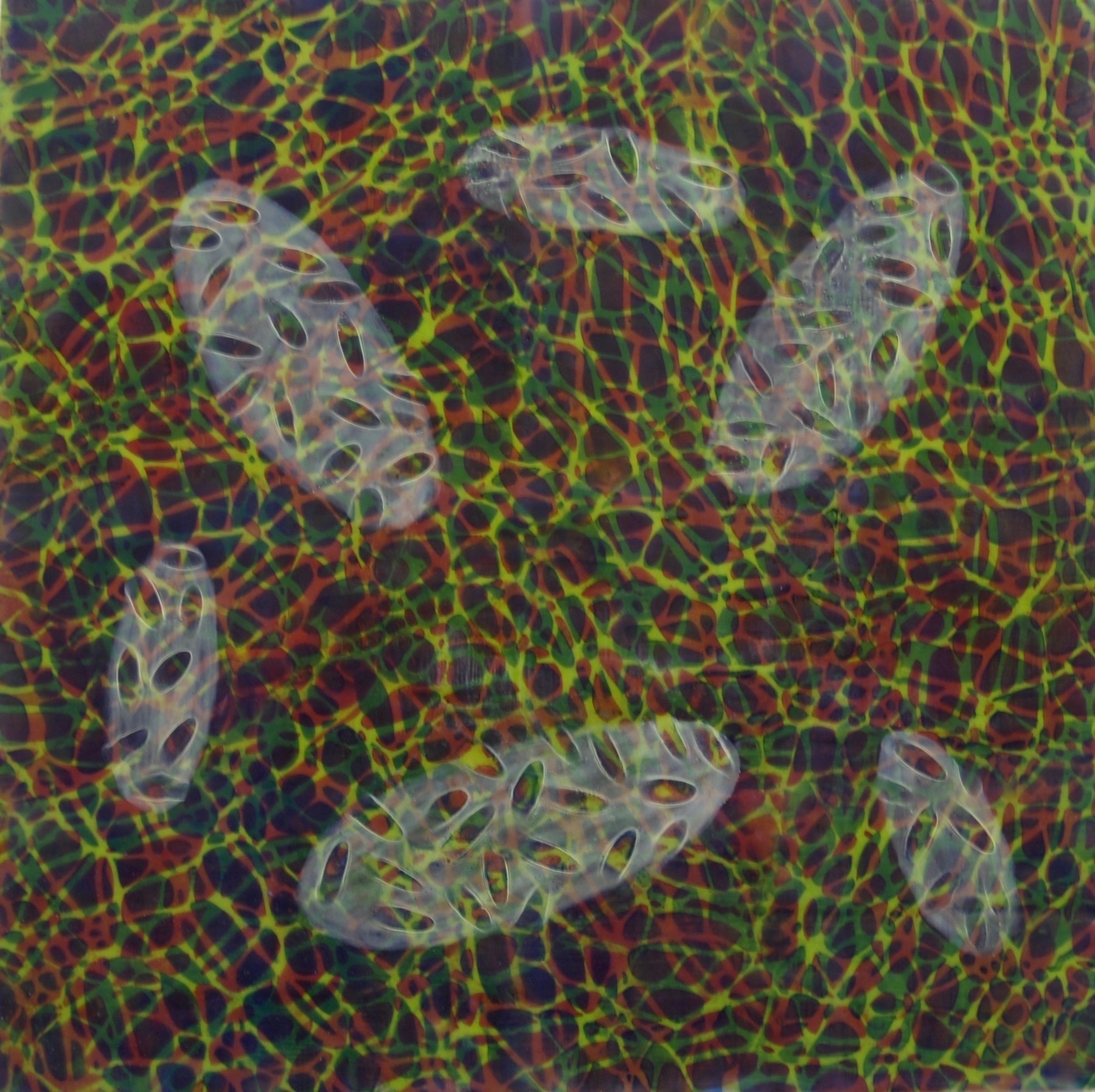  Hartung,  Bio Patterns 10 , Encaustic, pastel, 20x20 