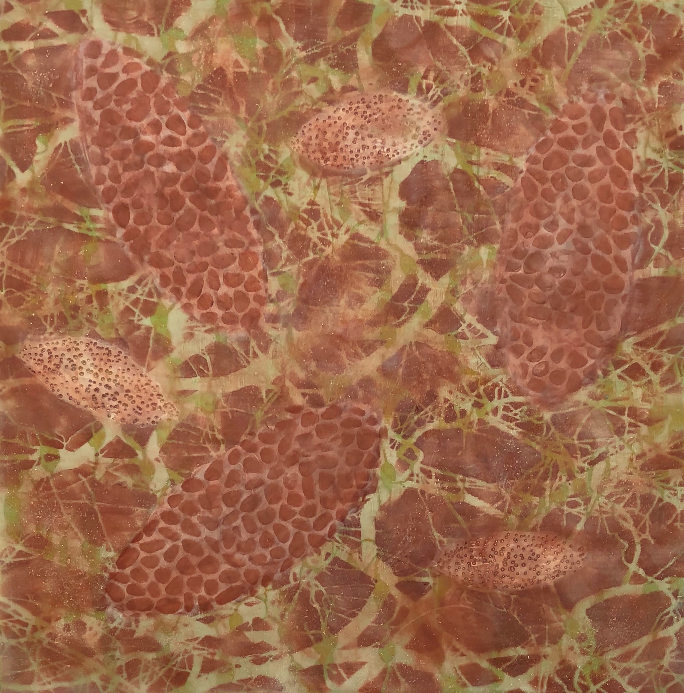 Hartung, Bio Patterns 14 , Encaustic, pastel, 1818
