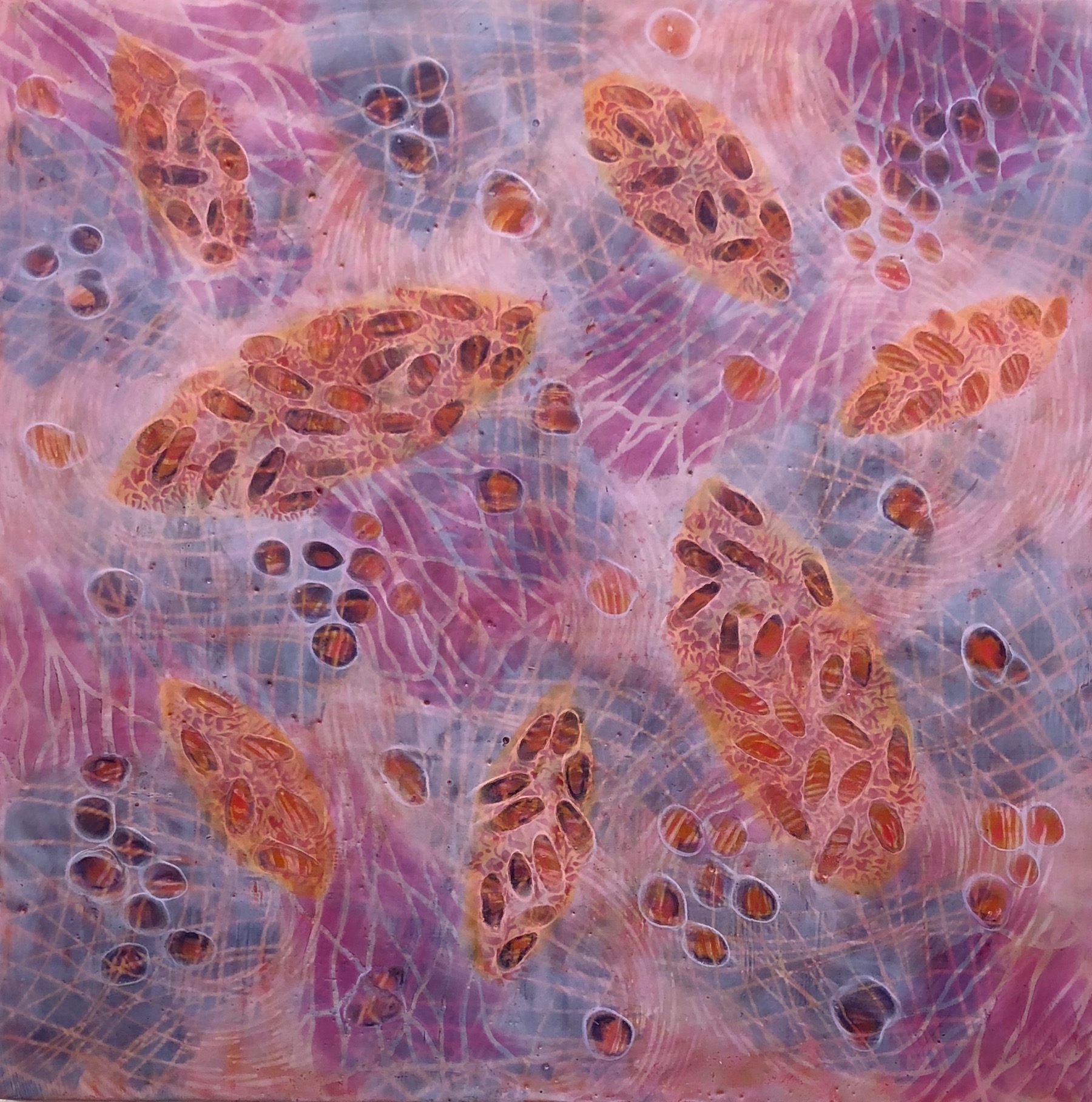  Hartung,  Bio Patterns 17 , Encaustic, pastel, 20x20 