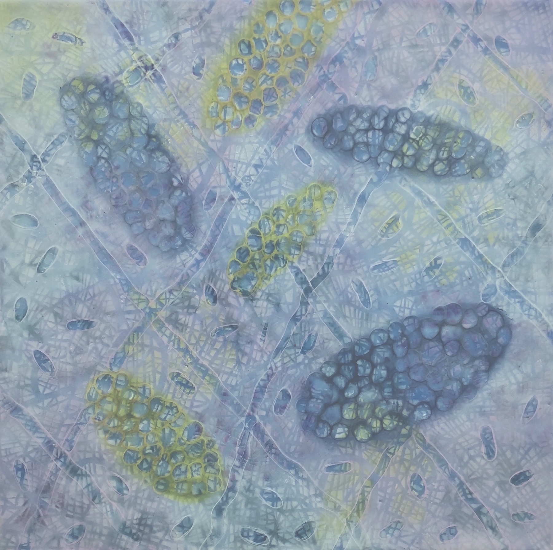  Hartung,  Bio Patterns 8 , Encaustic, pastel, 20x20 