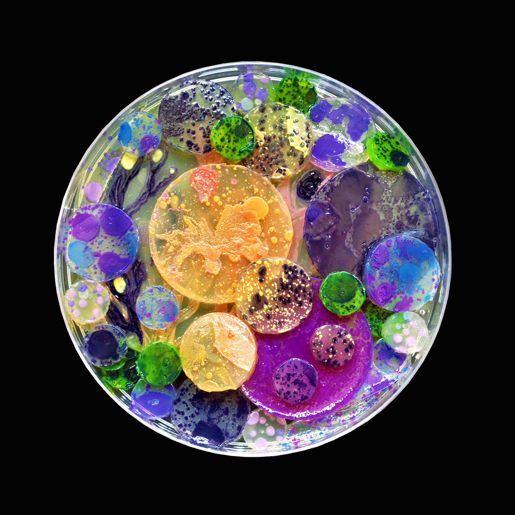 Penil Cobo, Remainders , Microbes in agar