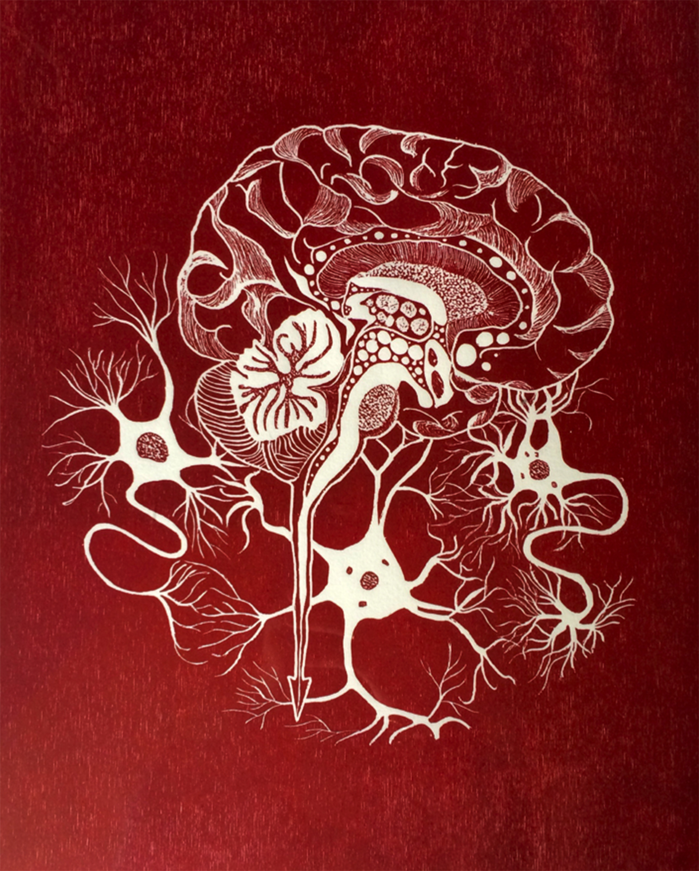  Penil Cobo,  Brain Matter 1 , Woodcut print 