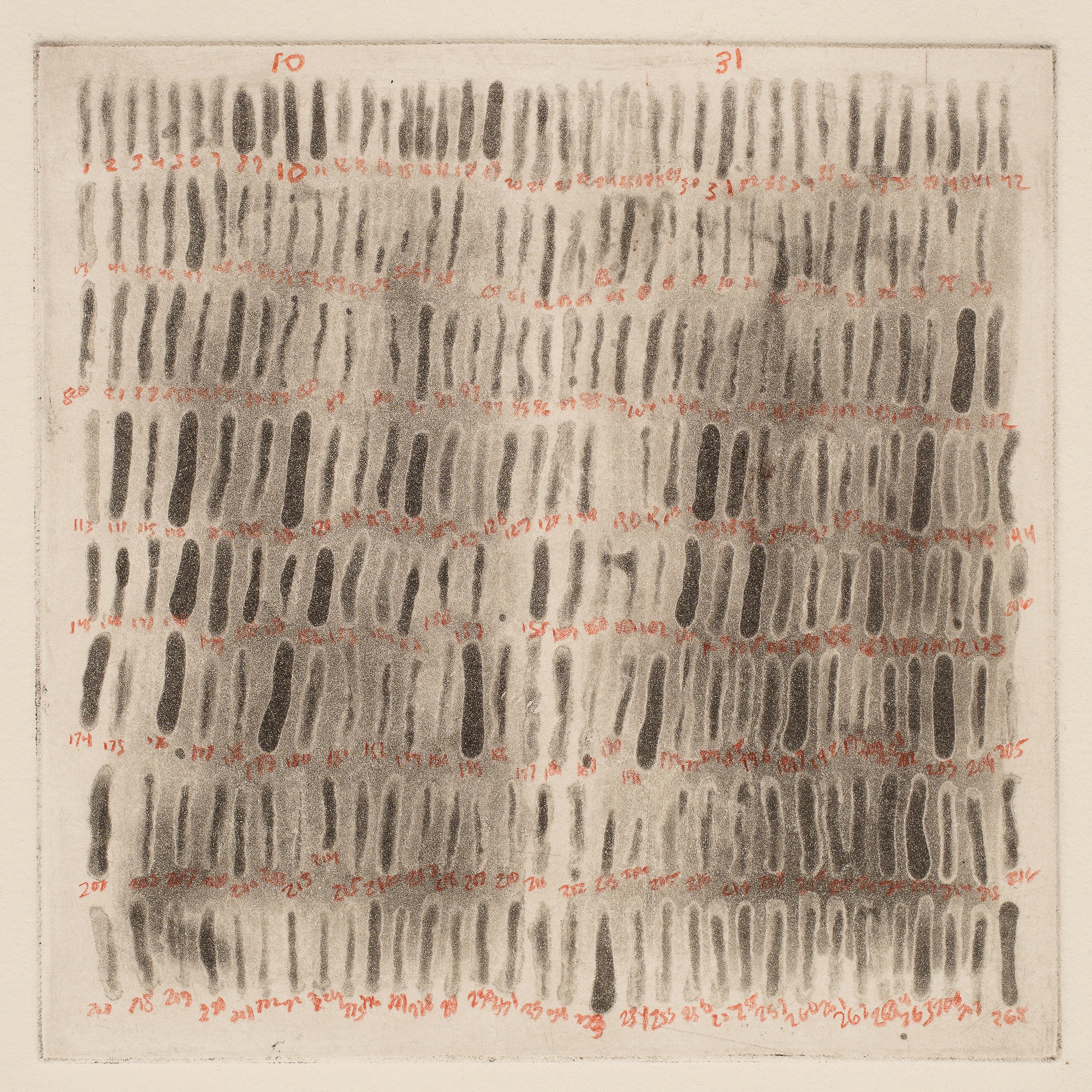 Two Hundred Sixty-eight Marks over Two Dark Fields in a Square , copperplate spitbite etching with red pencil, 11 x 11 inches