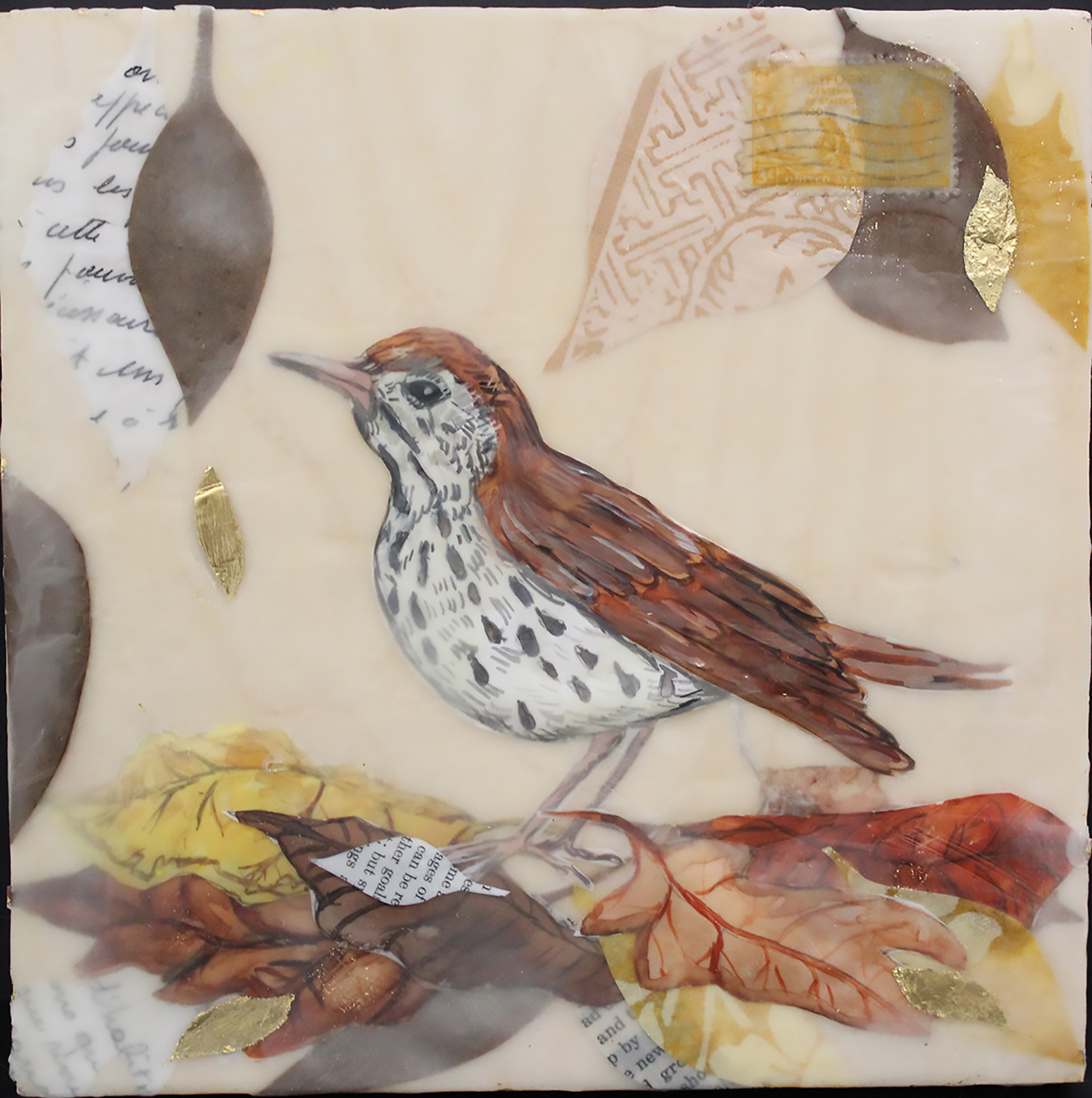   The Deception of the Thrush , encaustic &amp; mixed media, 8 x 8 inches 