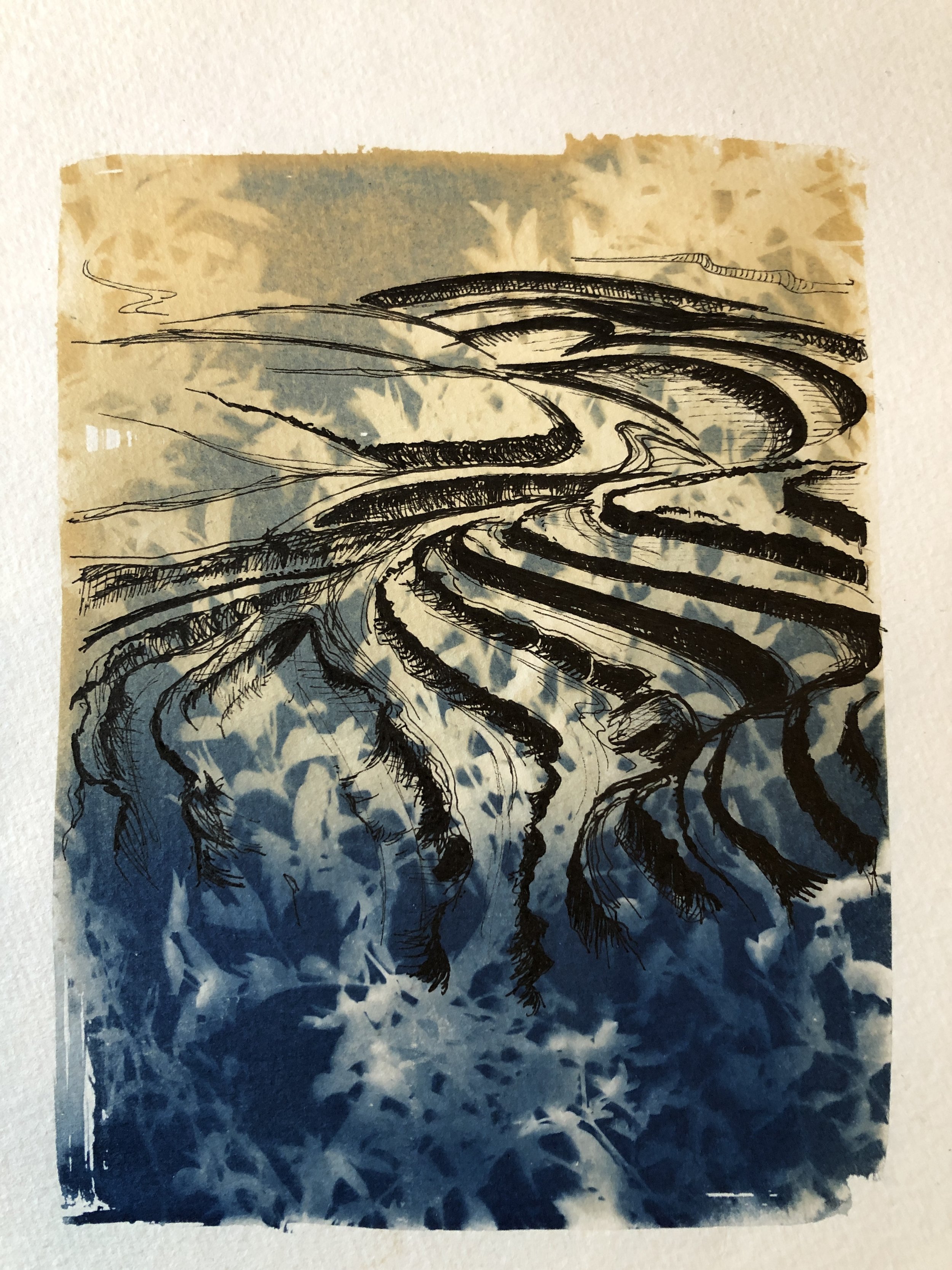 Marie Craig, Entanglement 6 (strip mine), pen and ink on toned cyanotype photograph, 6 x 8 inches.