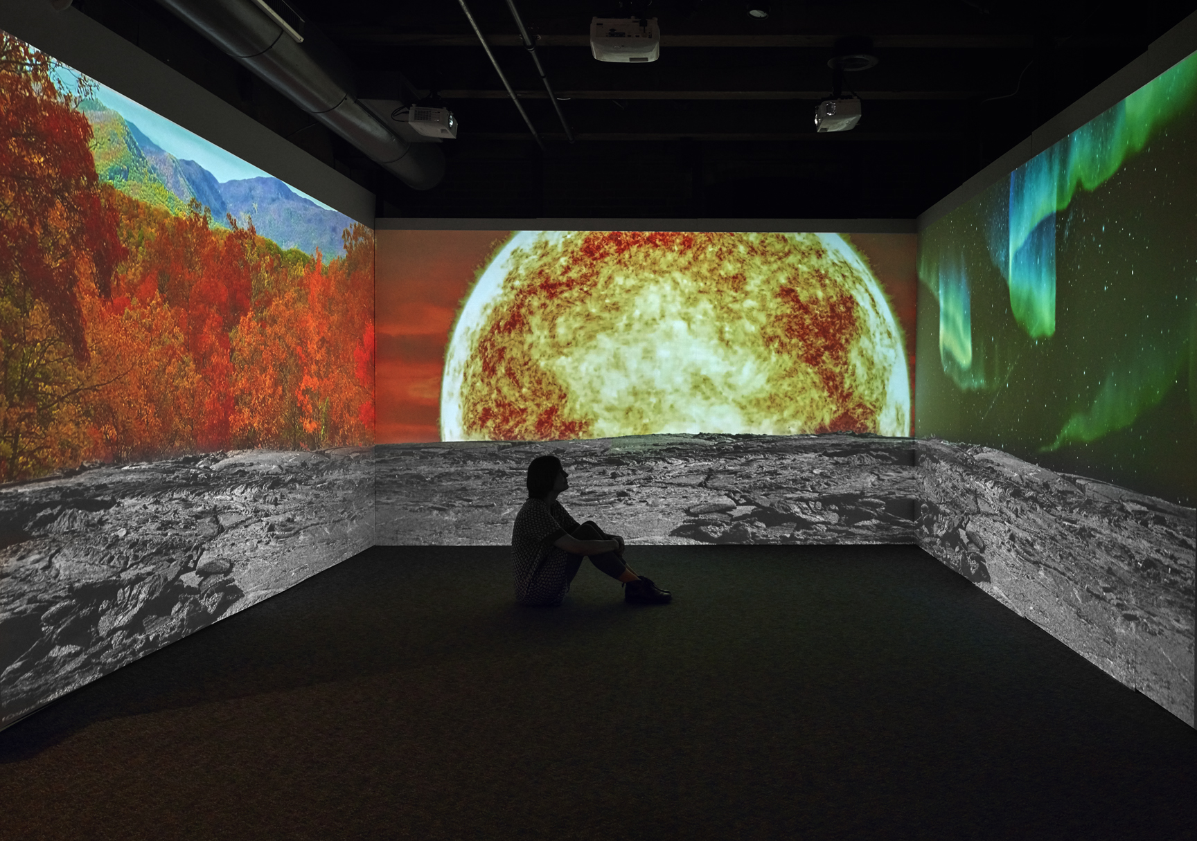 Wish You Were Here: Greetings from the Galapagos , 3-channel video installation, documentation