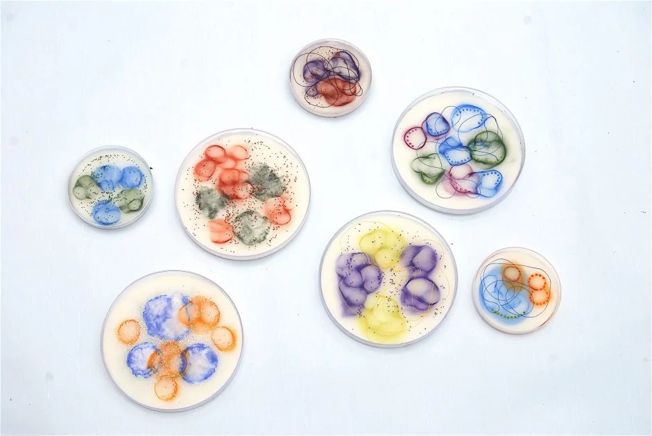 Hartung_Cell-Samples-940x629.jpg