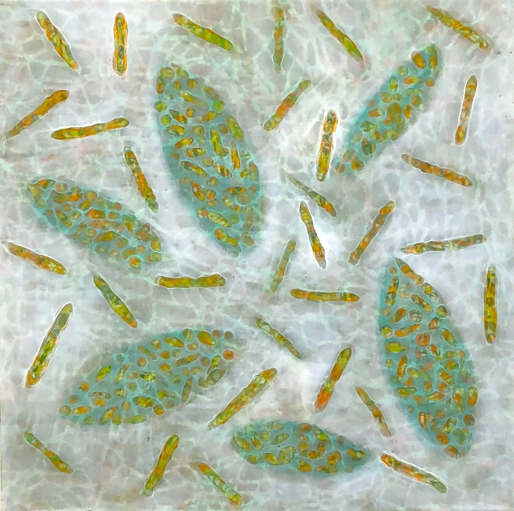 Bio Patterns #18