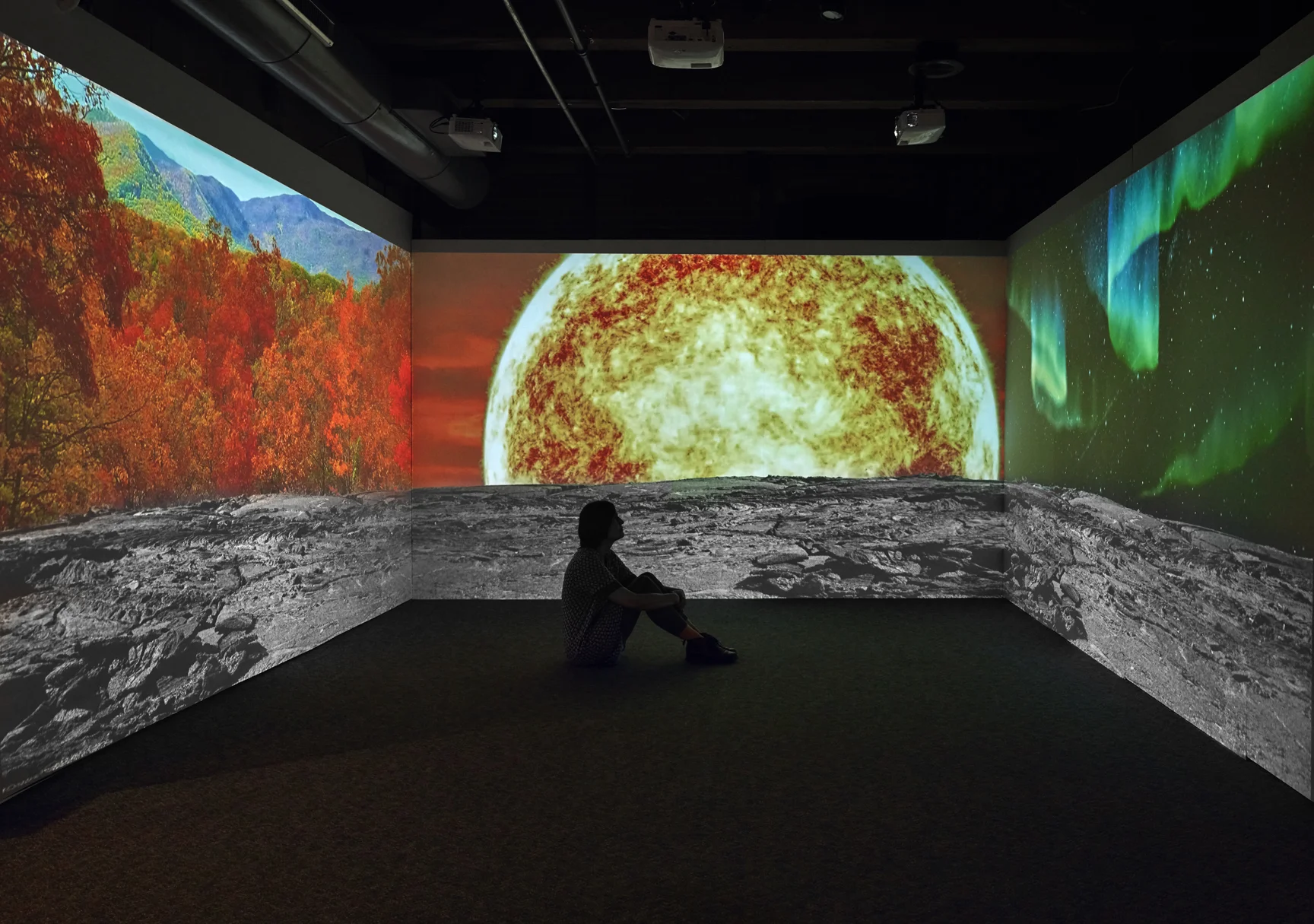 Allison Maria Rodriguez is a first-generation Cuban-American interdisciplinary artist working predominately in video installation and new media. She creates immersive experiential spaces that challenge conventional ways of knowing and understanding the world. Her work focuses extensively on climate change, species extinction, and the interconnectivity of existence. See Rodriguez’s most recent work in Fountain Street’s May 2019 main gallery exhibition “ Secrets of the Unseen .”