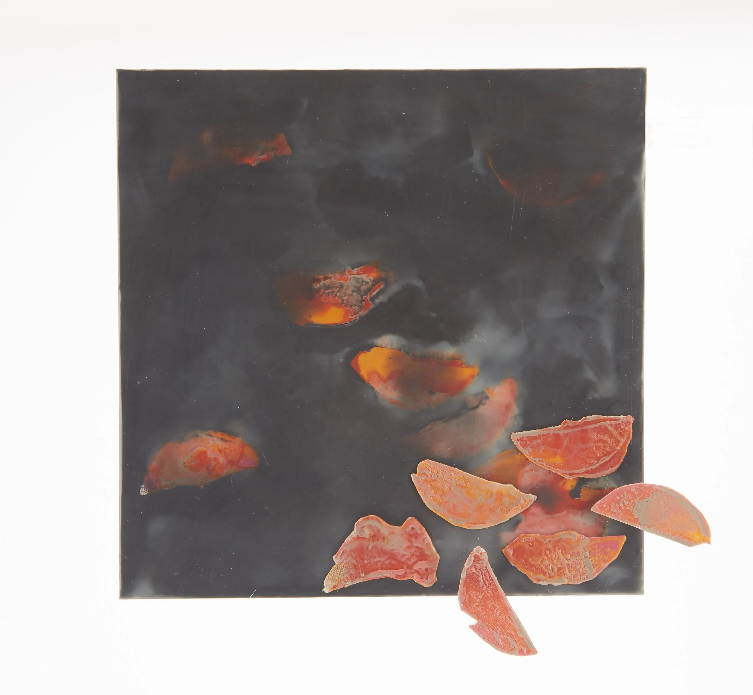 Emerging by Deborah Peeples
