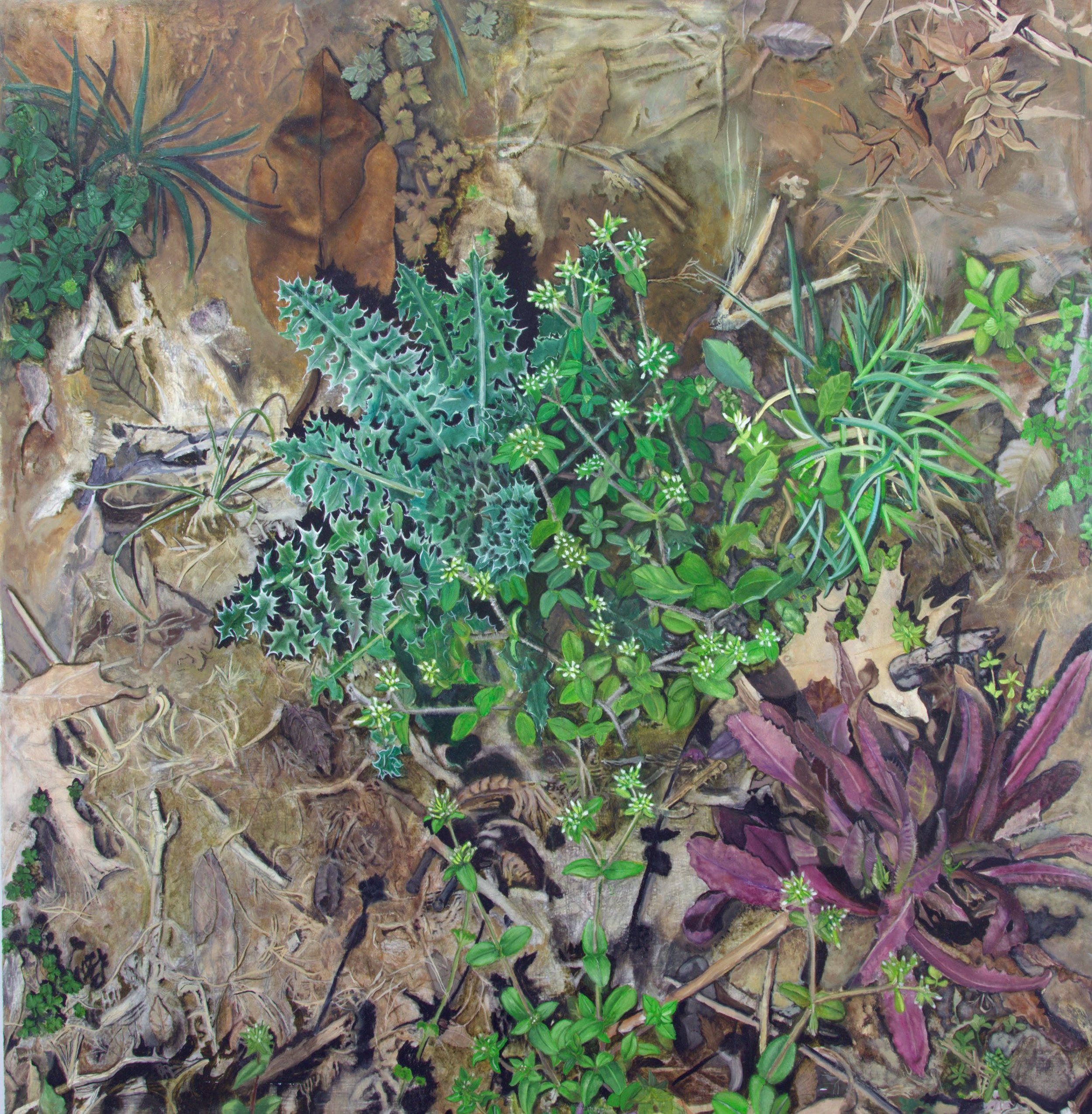 Jim Banks, Rosettes in Green and Red 2, Oil, acrylic on paper mounted on Gatorboard, 40x40