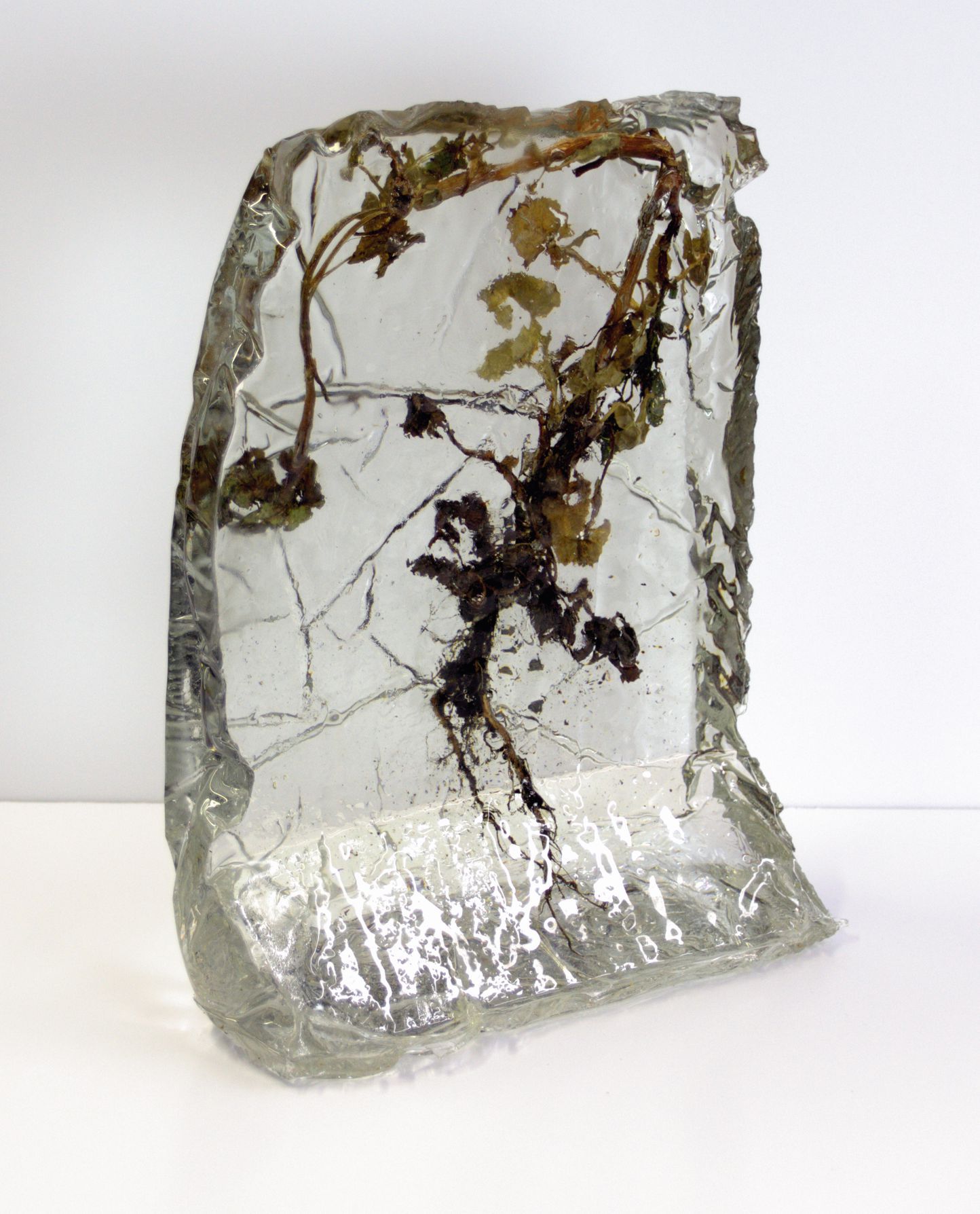  Jim Banks,  Frozen Sow Thistle , Sow Thistle, resin, 11x9x4 