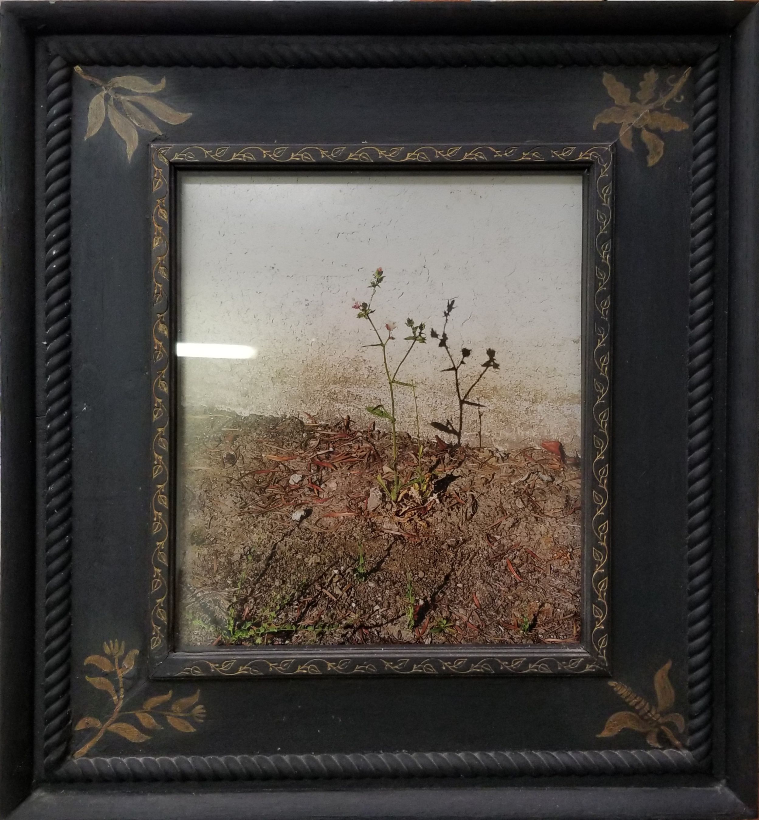  Jim Banks,  BOxT Photo Framed , Photo framed in homemade frame, 25x23 