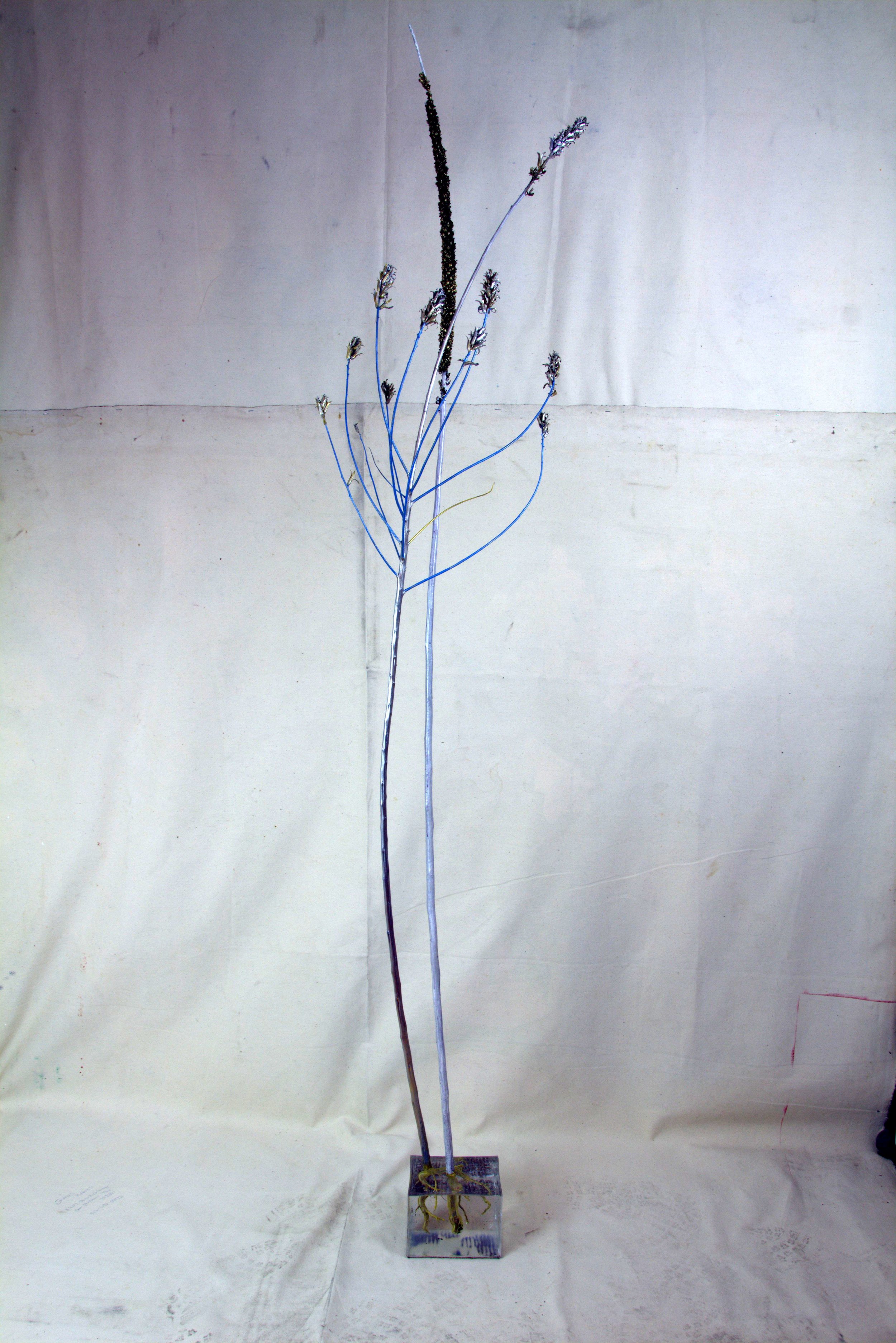 Jim Banks, Dancing Bones, Evening Primrose, Mullein, resin, paint, 90x20x17