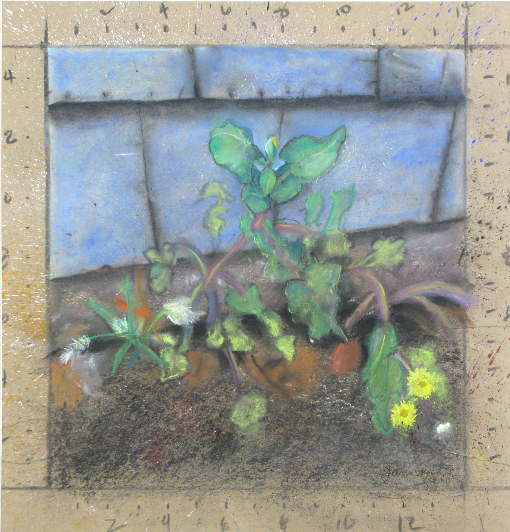  Jim Banks,  Thrive Where You’re Planted , Pastel, gouache on paper, 18.5 x 17.5 