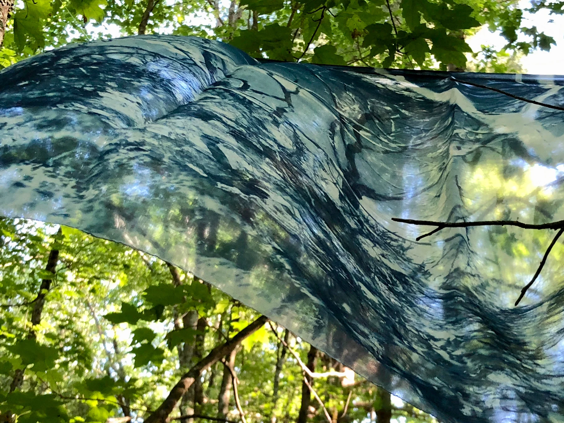 Natural Consequences (Detail), cyanotype on silk organza by Marie Craig