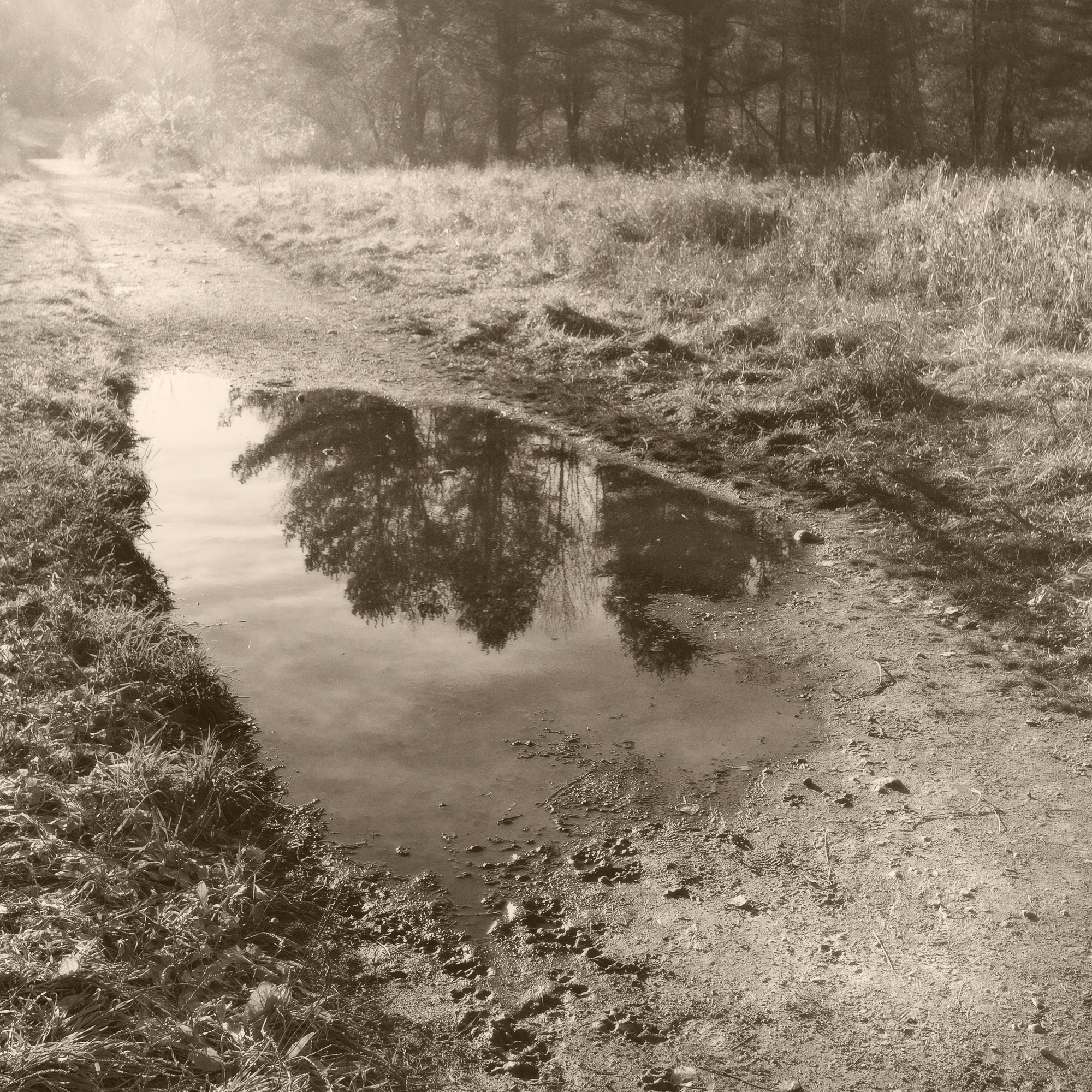 Linda DeStefano Brown, Which Reality? Digital Photography, 17x17