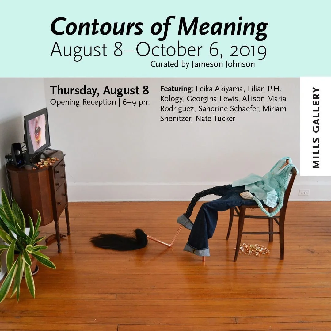 Allison Maria Rodriguez has an installation in Contours of Meaning