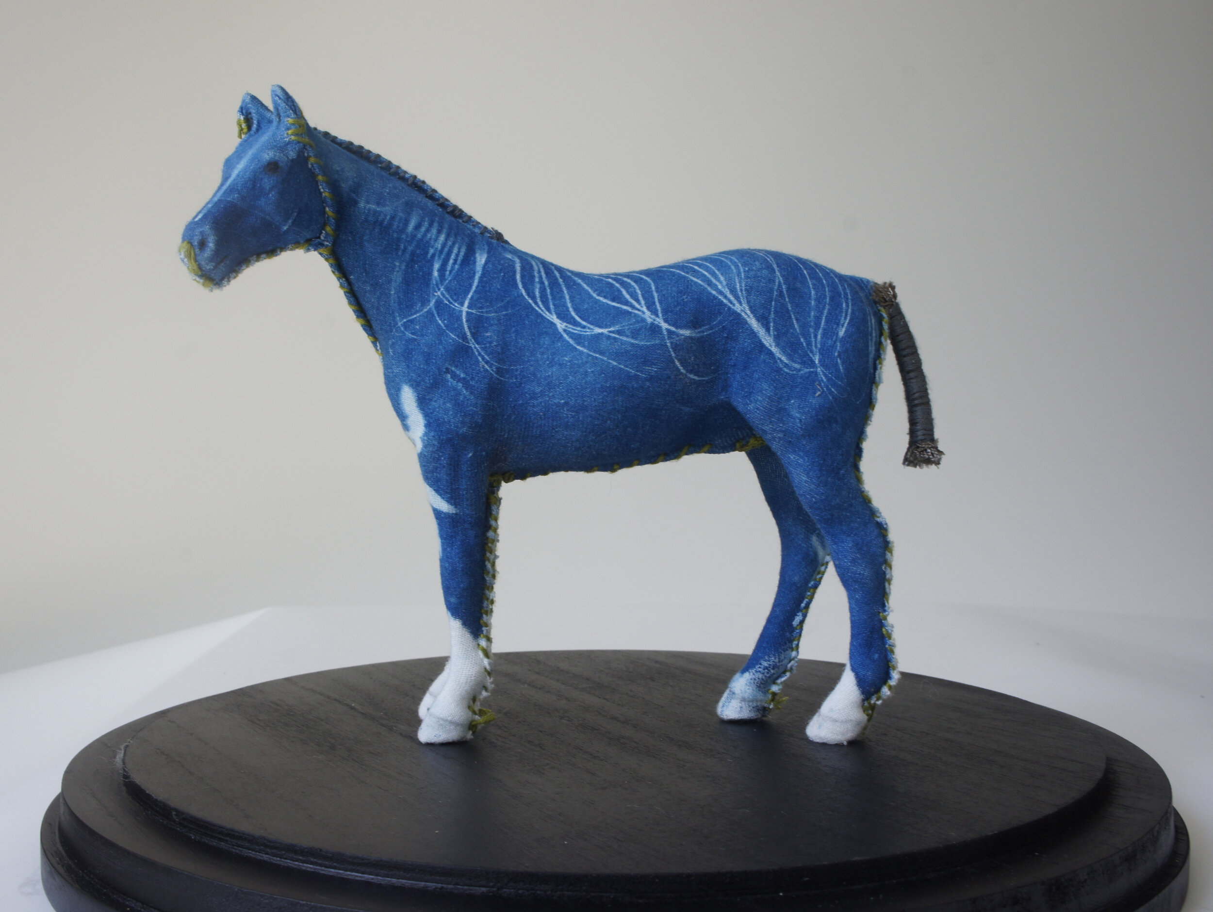  Gin Stone,  Cyanotype Spinal Feather Miniature Horse , Mixed media, 13 x 13 x 13 