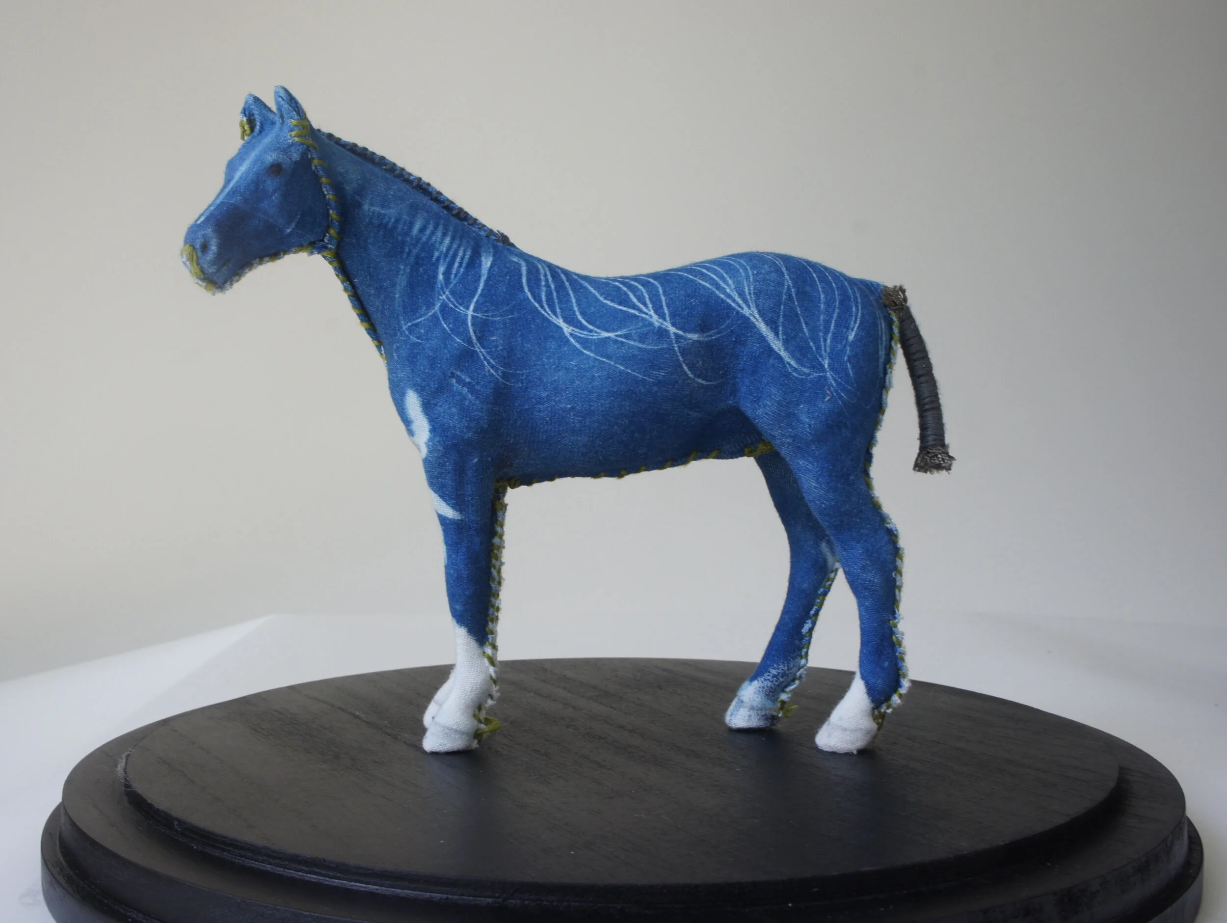 Gin Stone, Cyanotype Spinal Feather Miniature Horse , Mixed media, 13 x 13 x 13