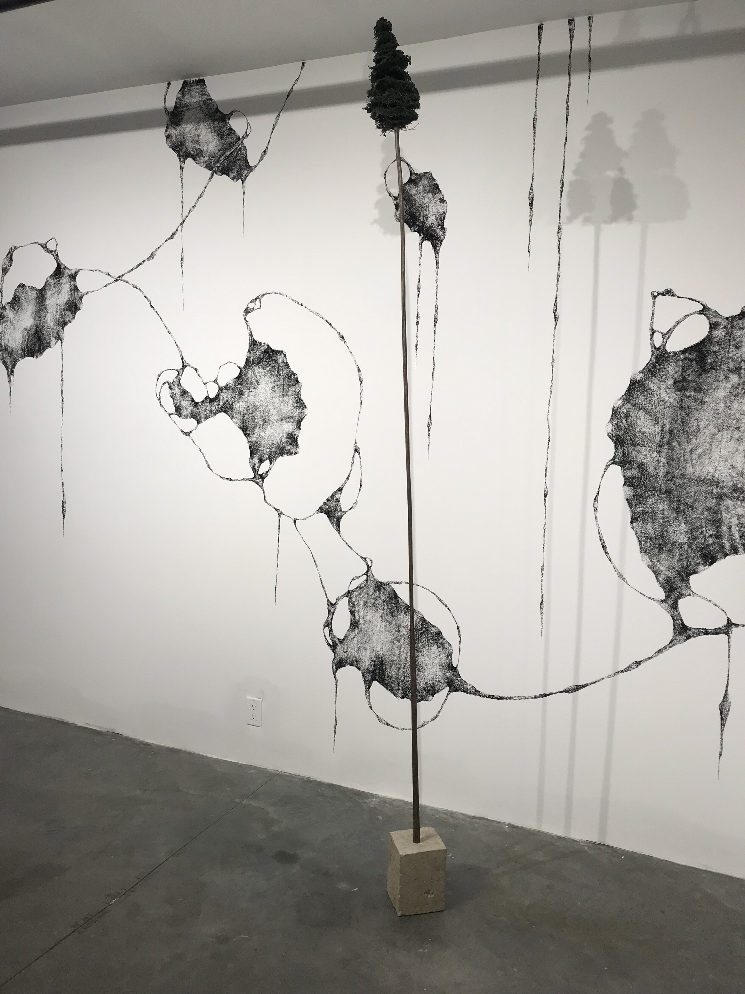  Tatiana Flis,  Forest Leaves , charcoal wall drawing installation 