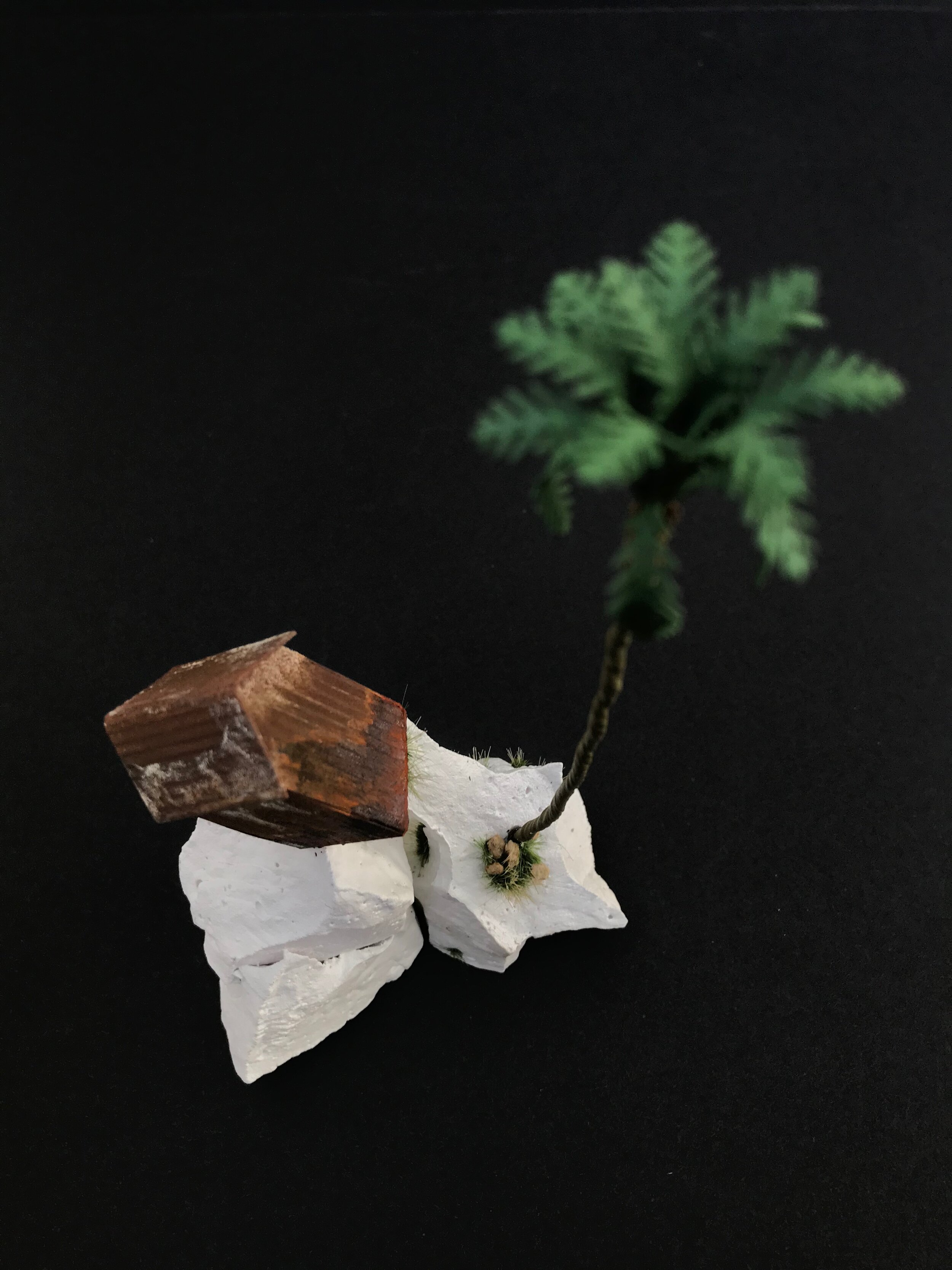 Tatiana Flis, I am afloat , plastic, rust and mixed-media