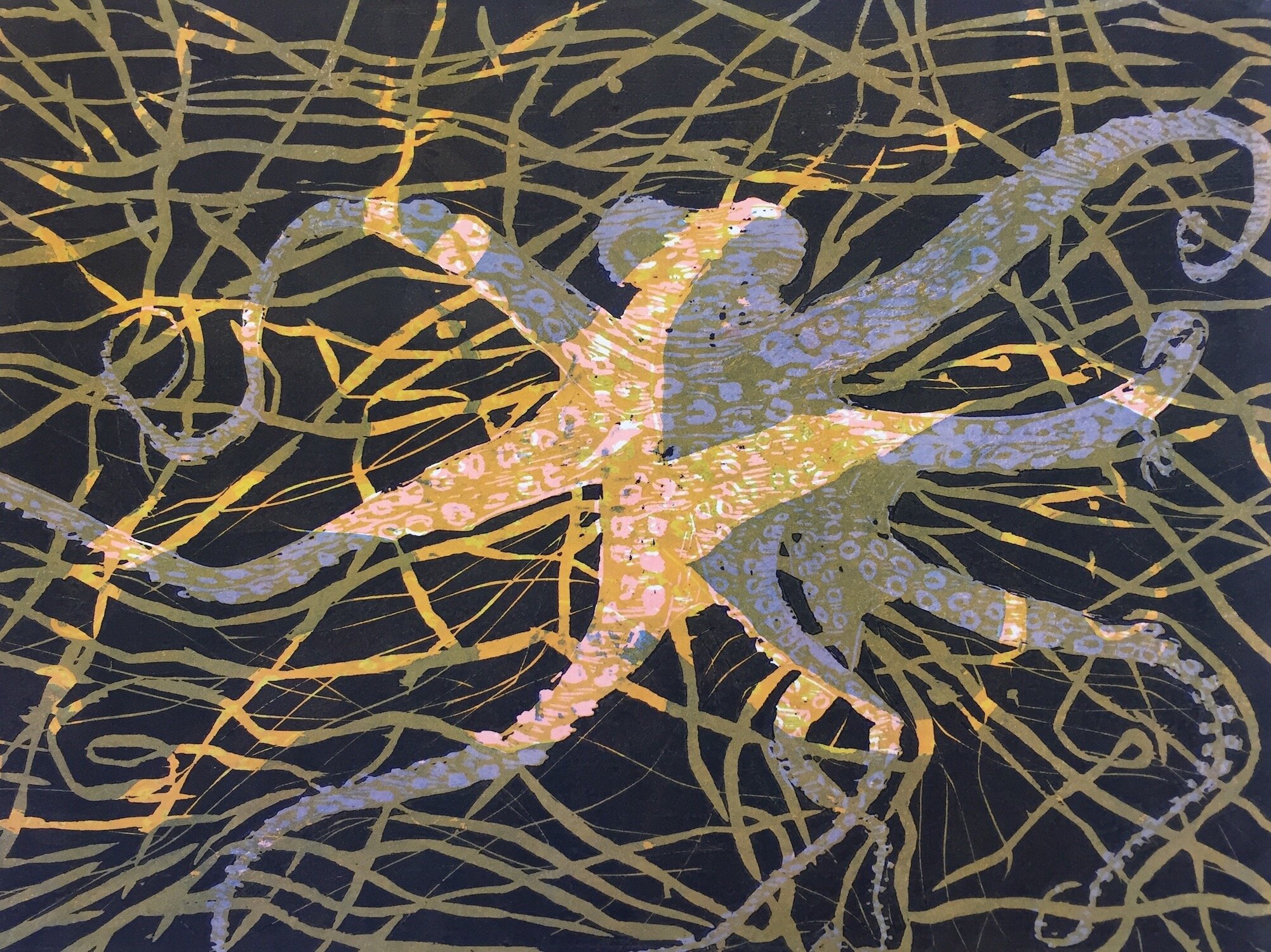 Octopus 4, woodcut, 19 x 23 inches