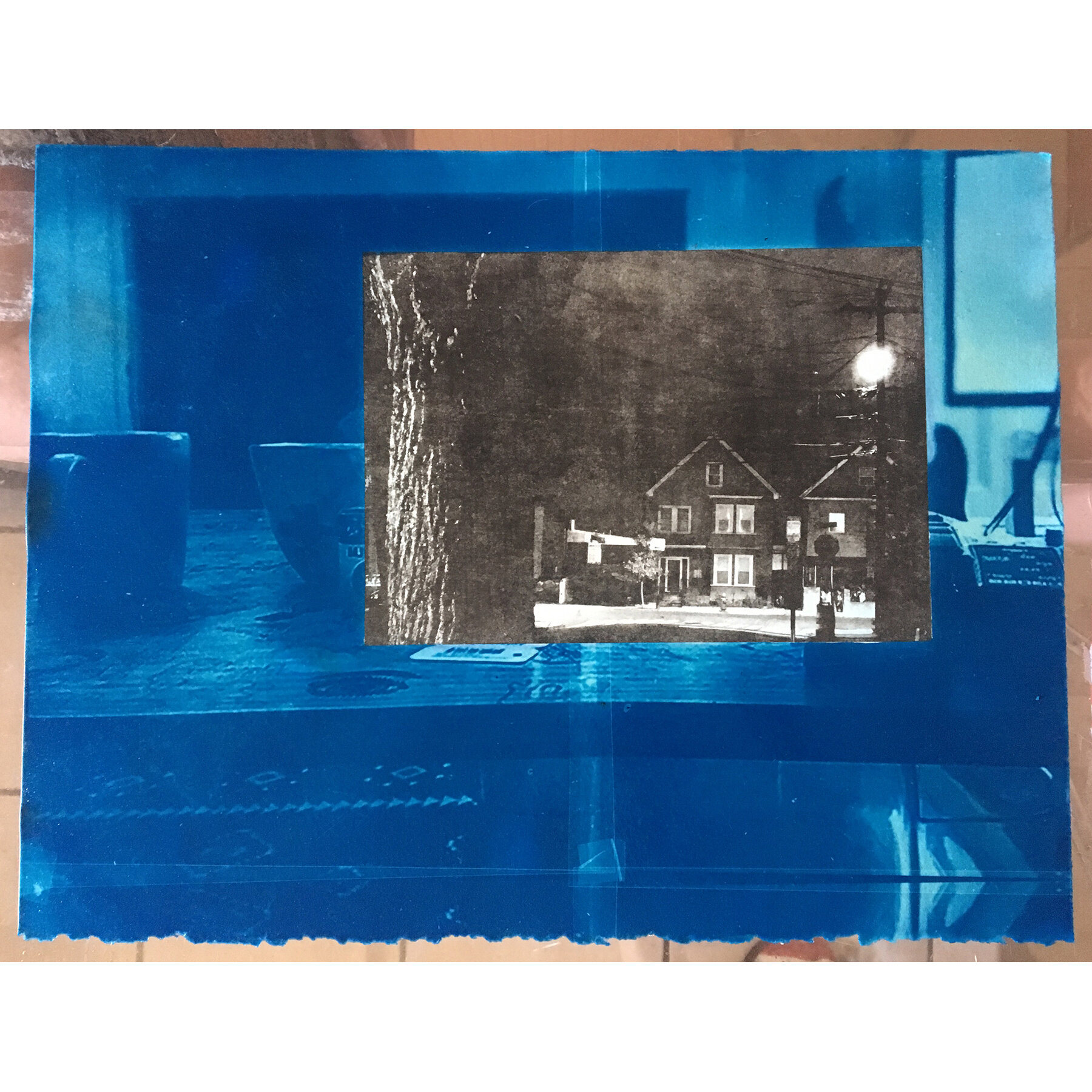  intimate knowledge; cyanotype, lithograph; 11 x 15 inches 