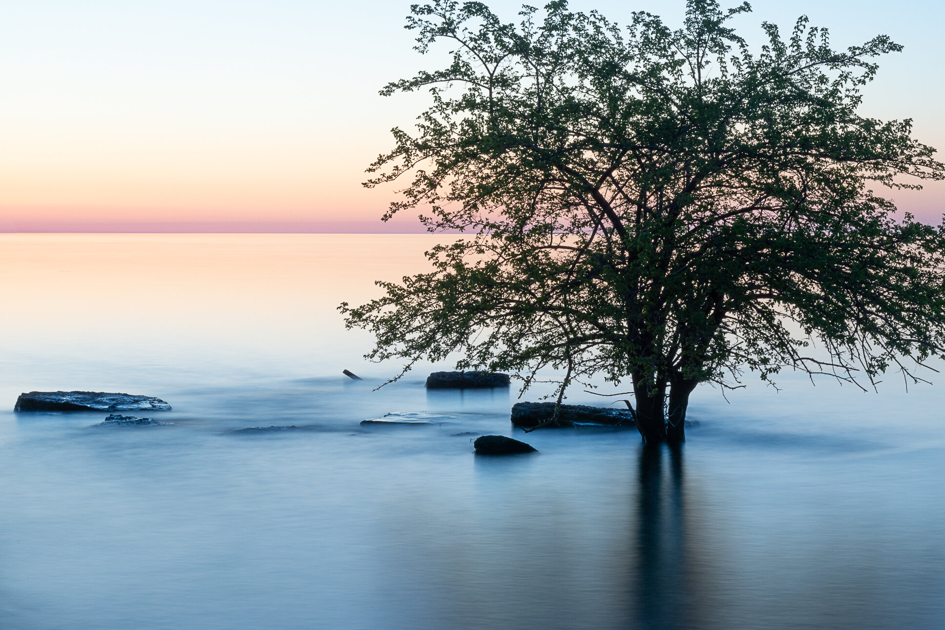 "Contemplation II" by Vicki McKenna