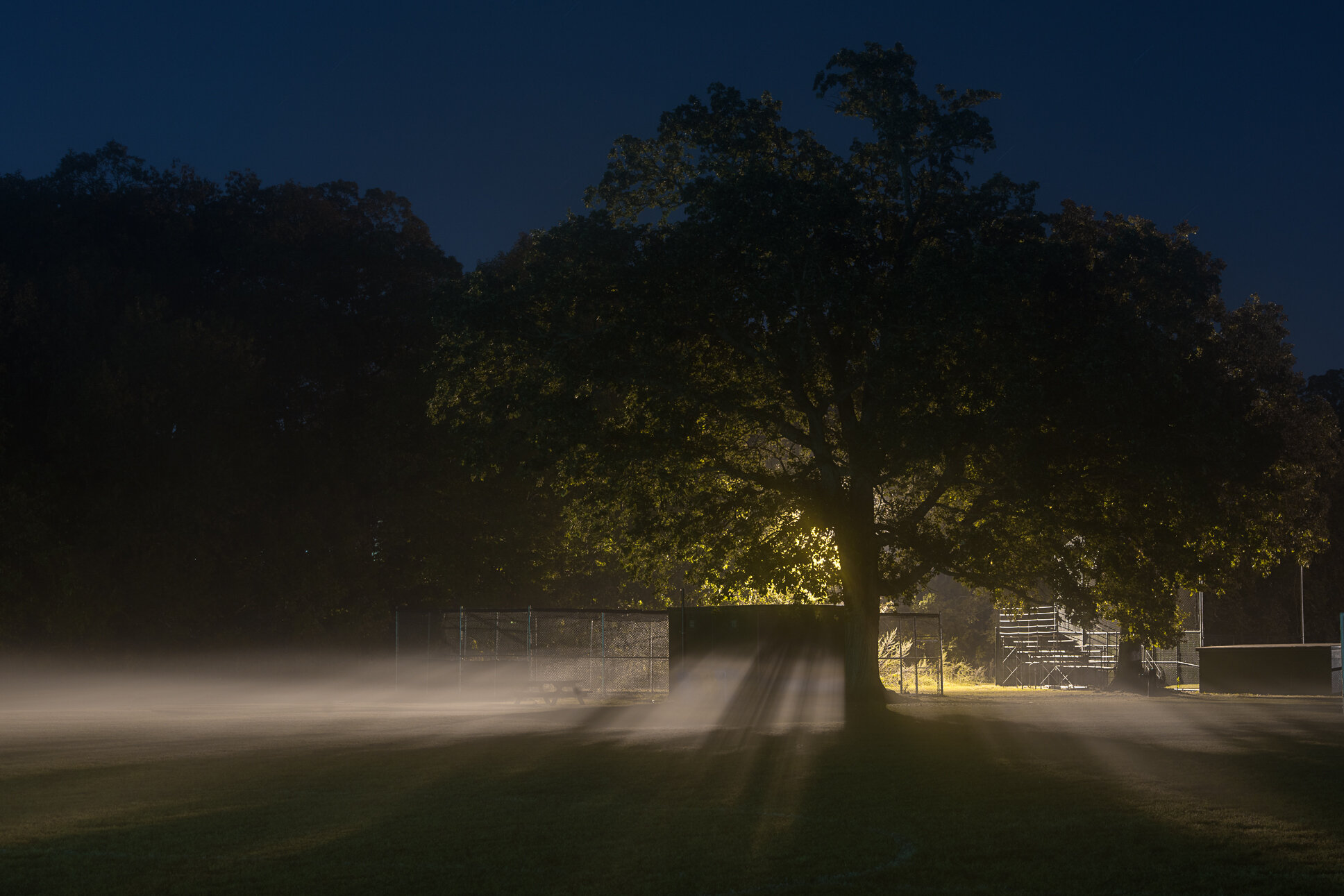 "Contemplation I" by Vicki McKenna