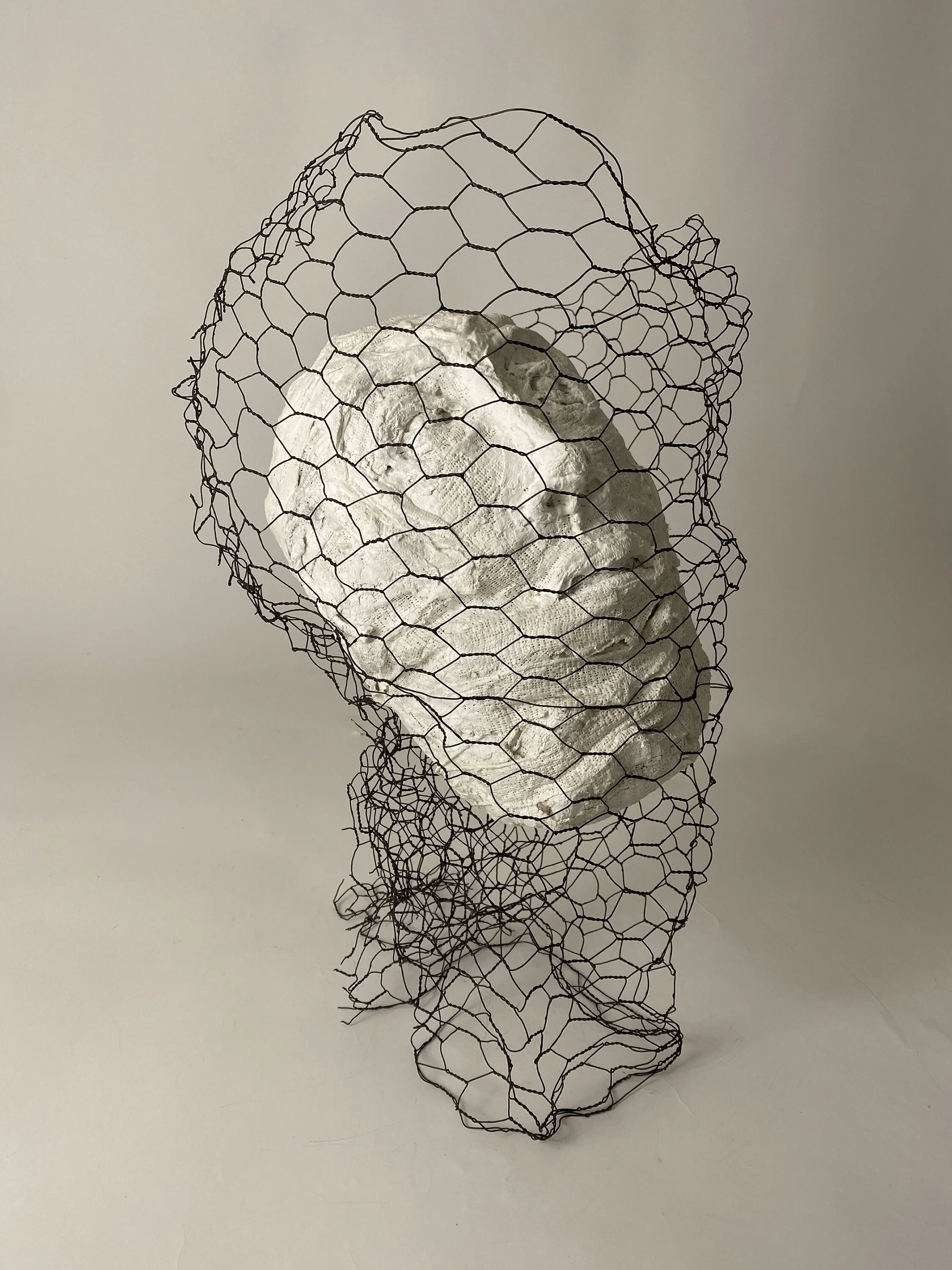 Vander Sluis_Caught.JPG