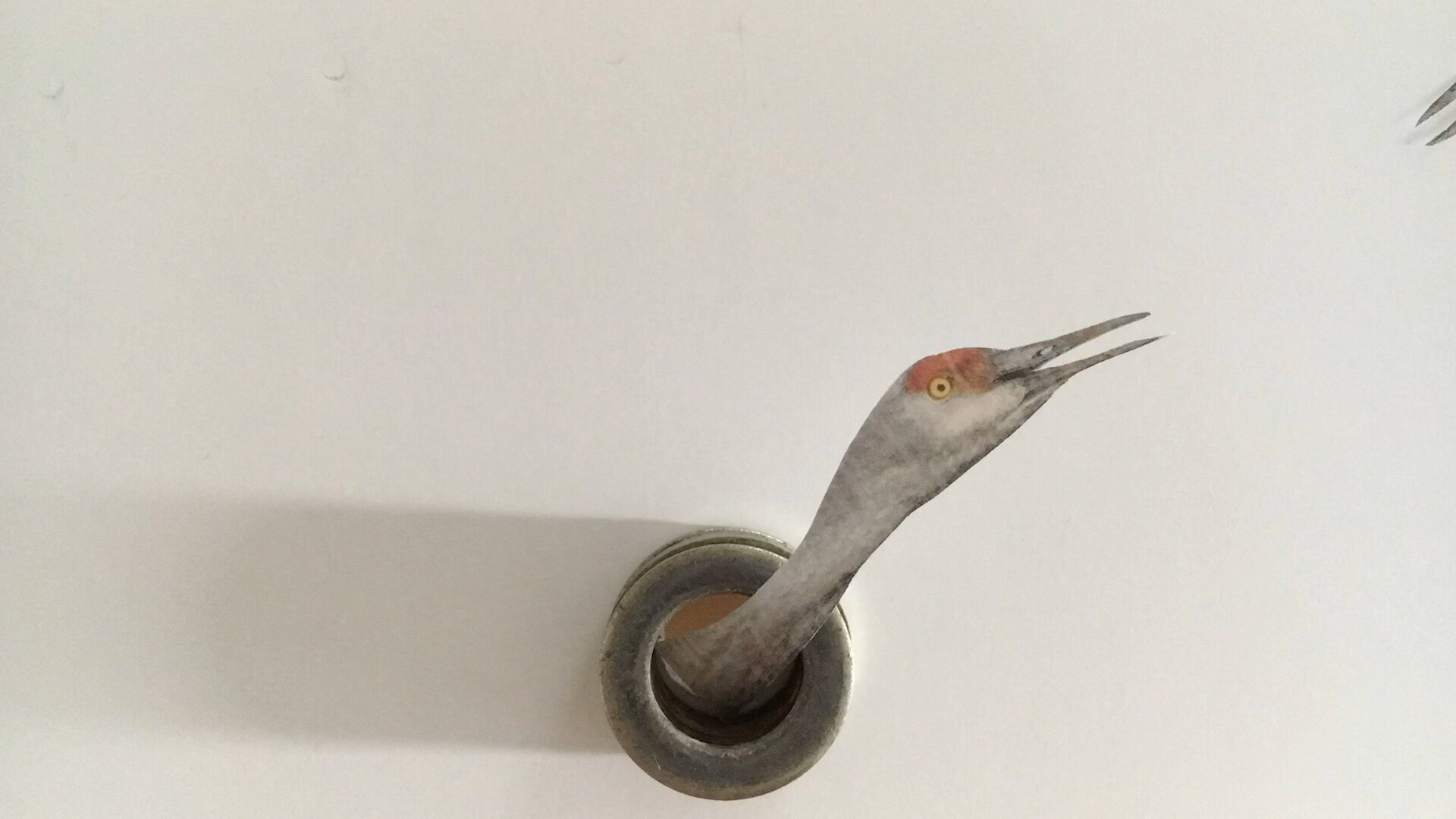 "Birds and me" by Melissa Shaak