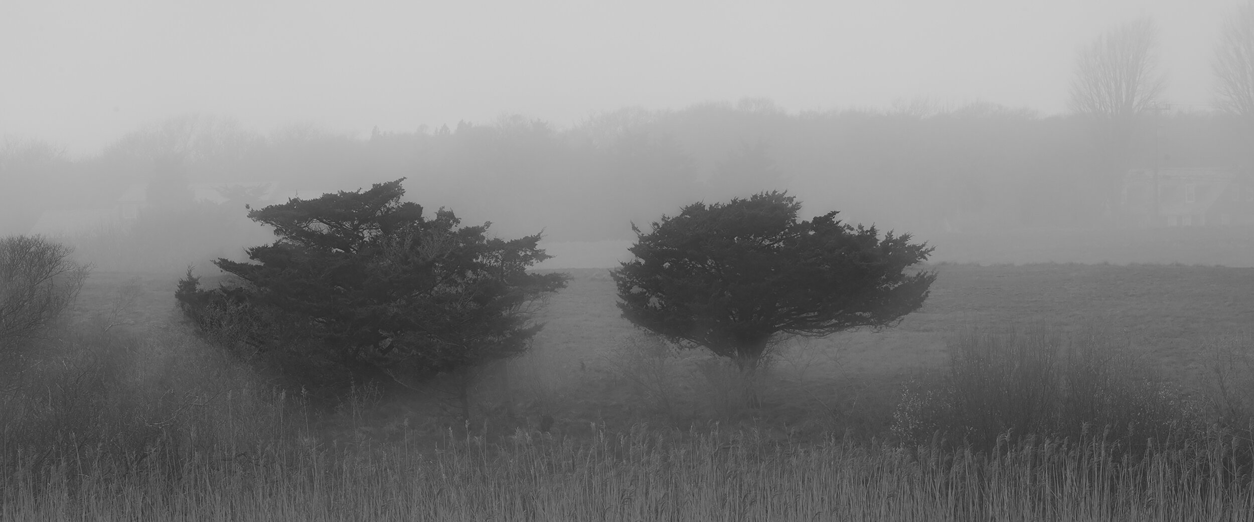    Sea Fog Morning    platinum/palladium photographic print, 7.5” x 18”  