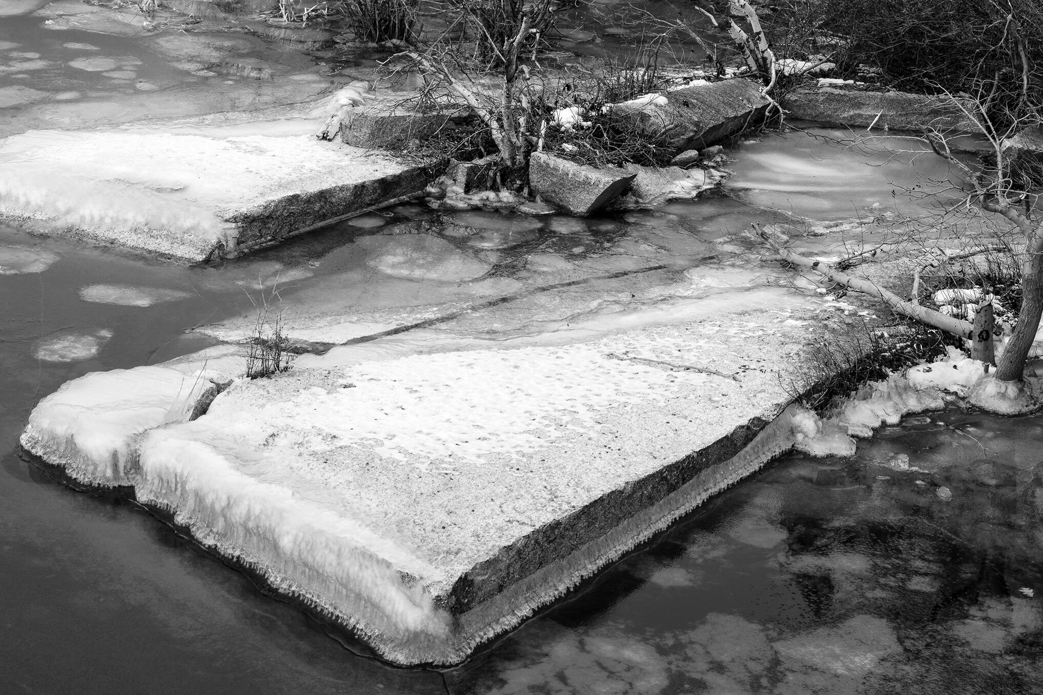    Winter’s Edges    platinum/palladium photographic print, 10” x 15”  