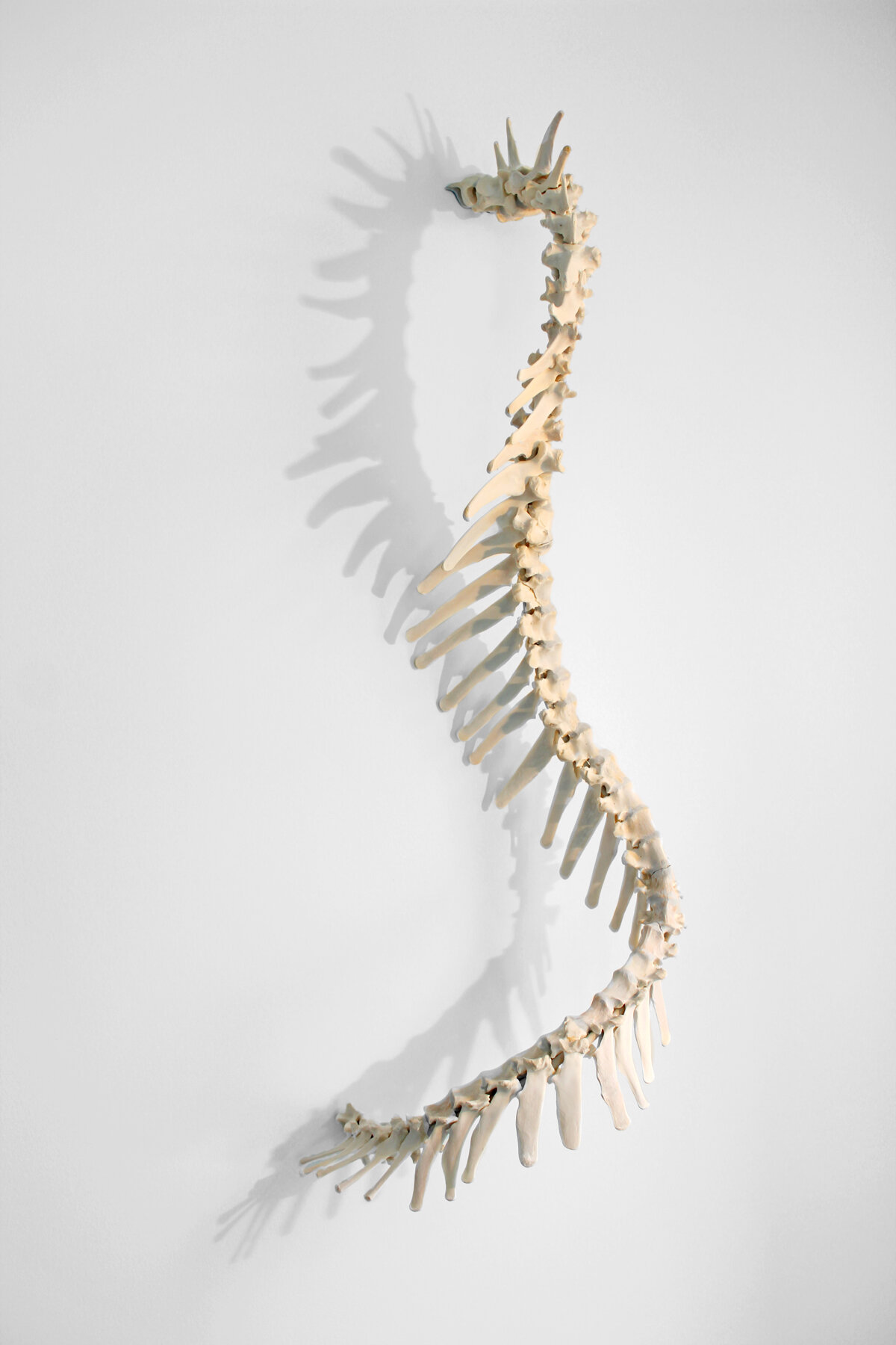    Emergence    deer vertebrae, sacrum and mixed-media, 39 x 13 x 9.5 inches 