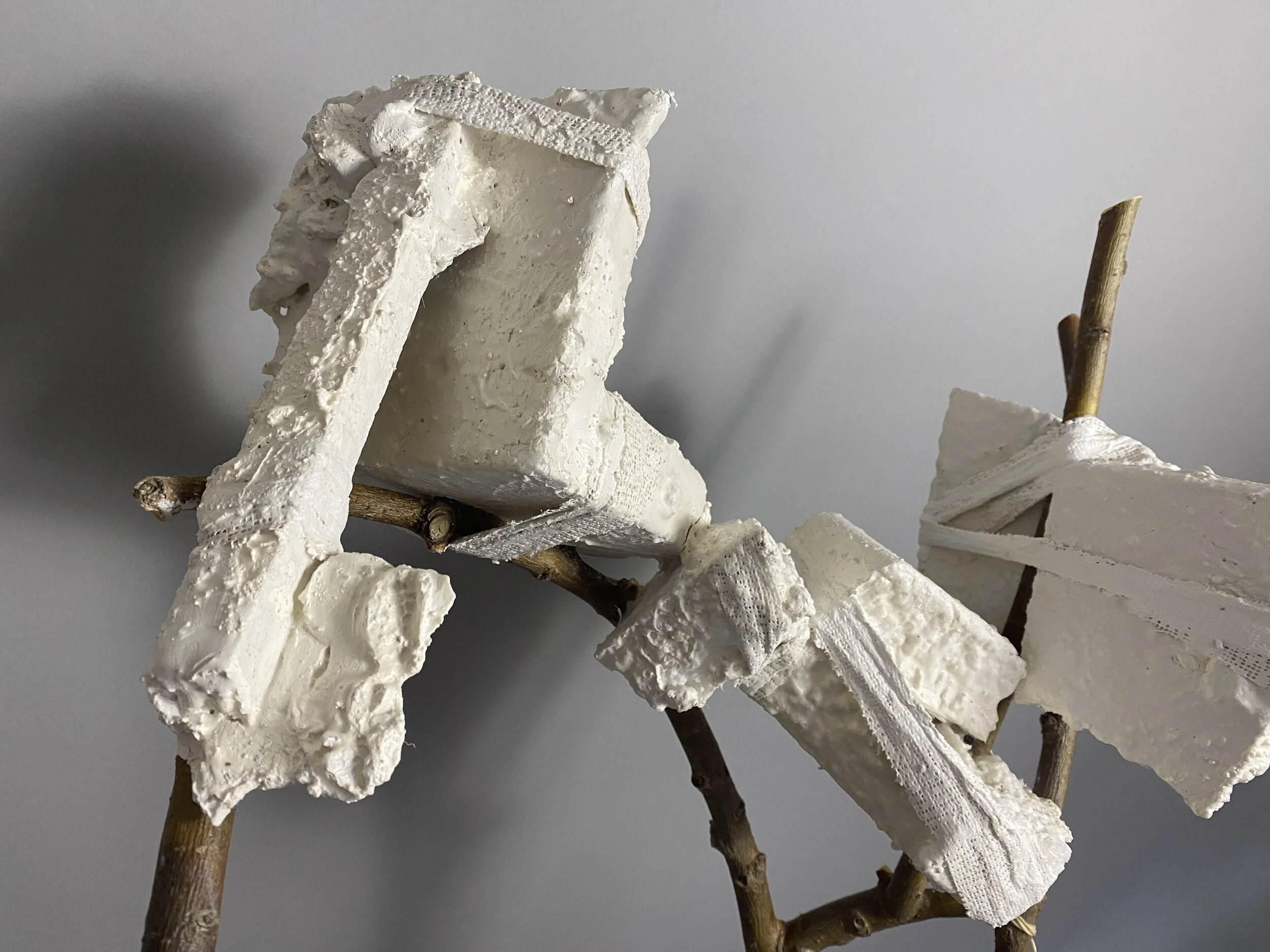 Excerpts from a Conversation