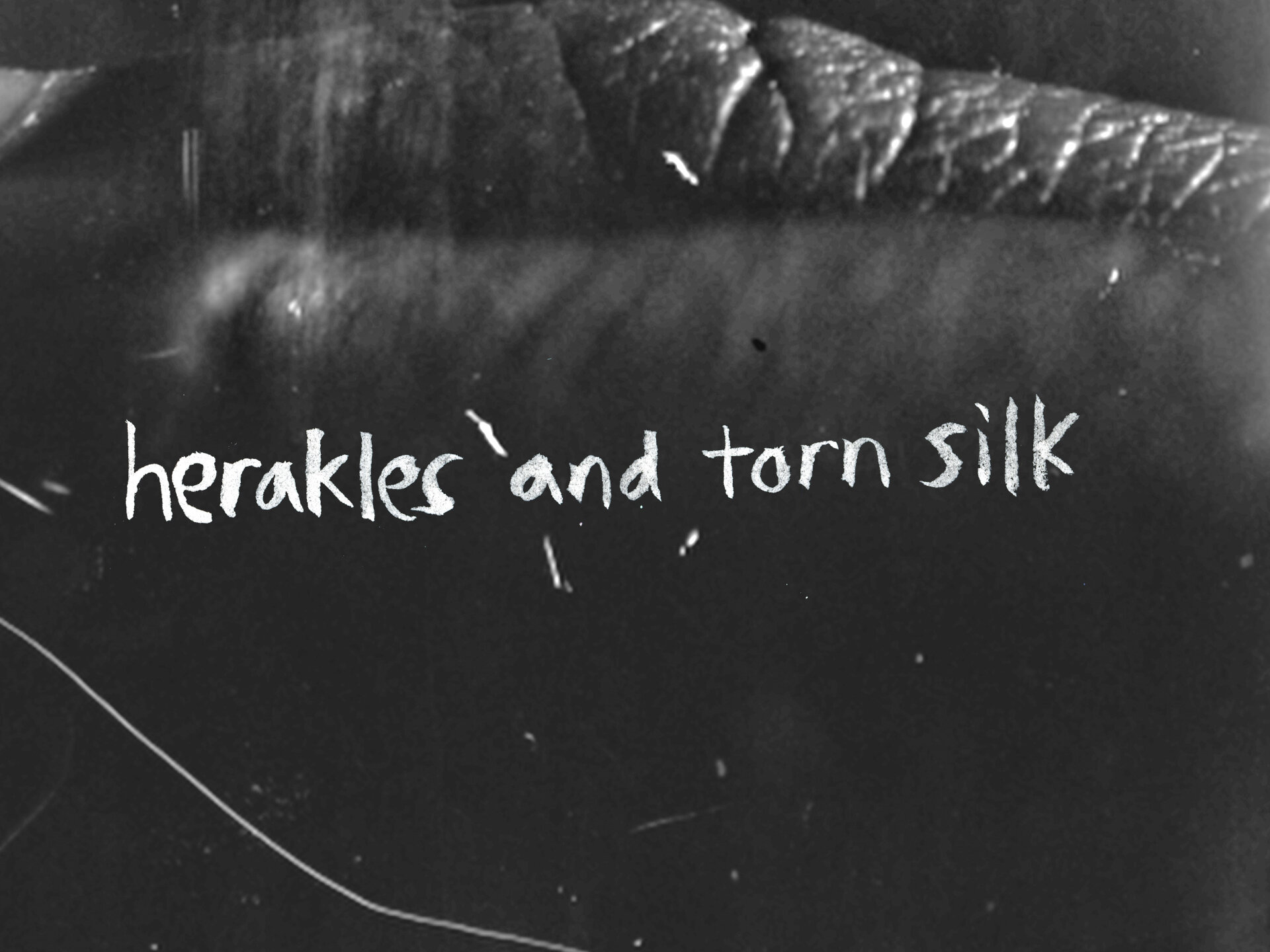 Hogan Seidel, "Heracles and Torn Silk", video still image.