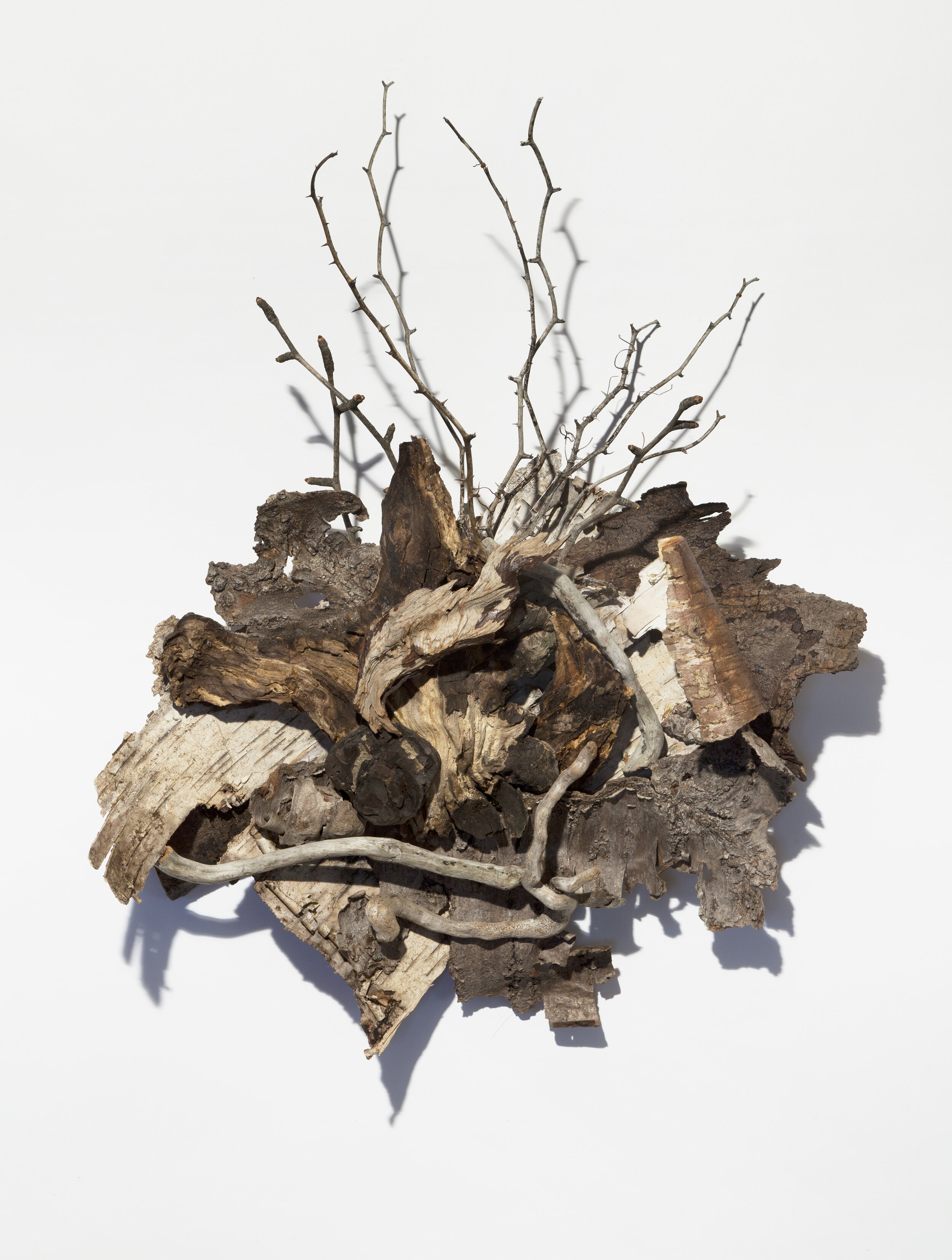    Reveal 1   wood, twigs, 24 x 19 x 8 inches&nbsp; 