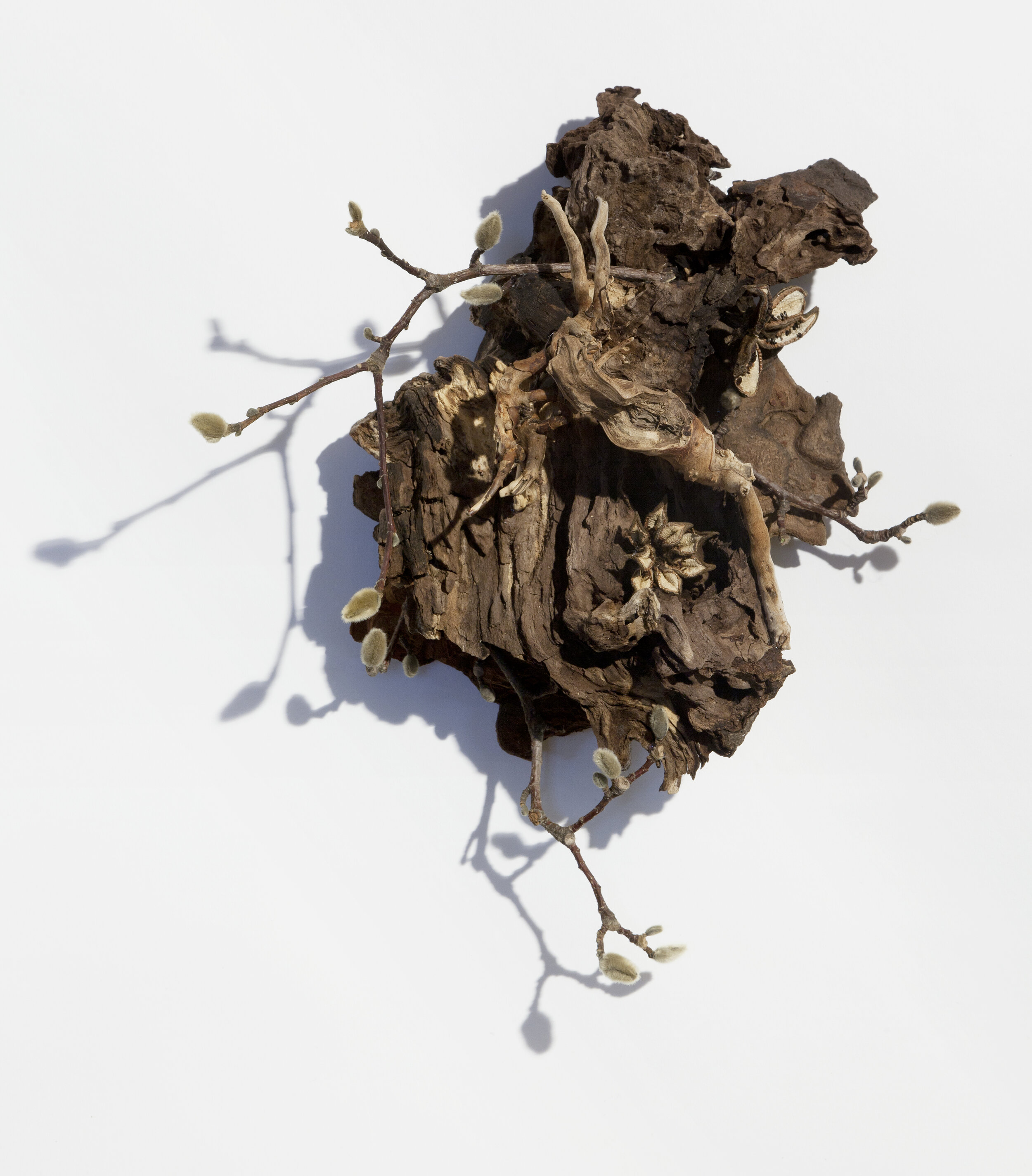    Reveal 2   wood, twigs, 15 x 13 x 5 inches&nbsp; 