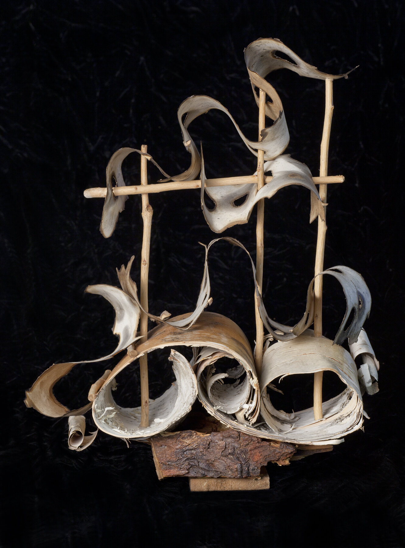    Voyage 3   wood, twigs, burnt paper, 17 x 14 x 8 inches 