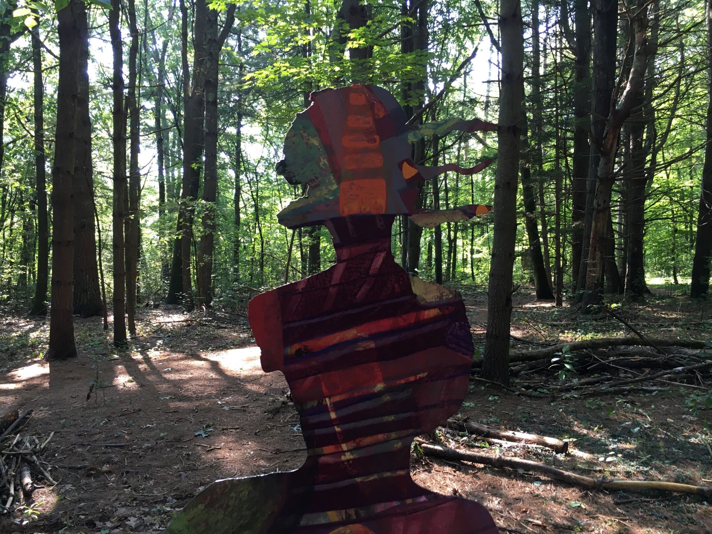  Part of  Forest Air  installation by Melissa Shaak 