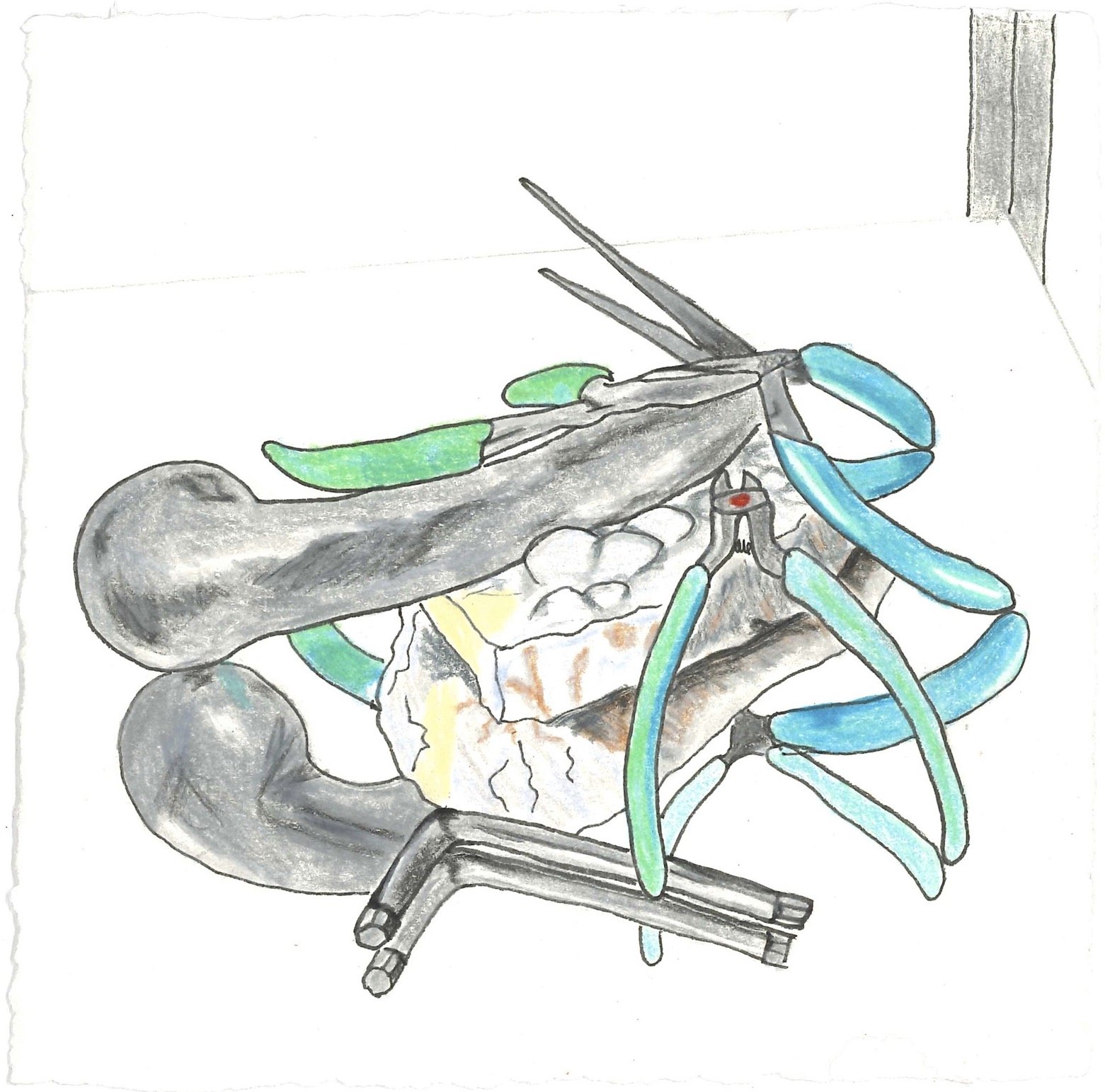   Mirror Drawing-Pliers  colored pencil &amp; ink on paper,  5 x 5 inches 