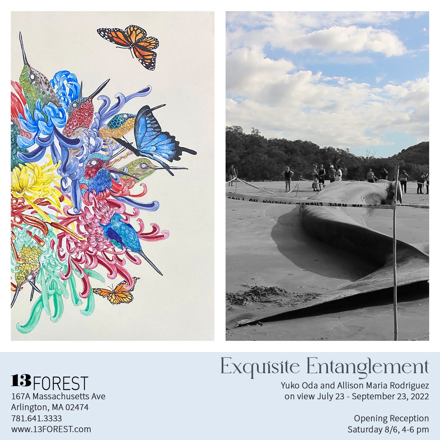  Postcard for  Exquisite Entanglements , with work by Allison Maria Rodriguez 