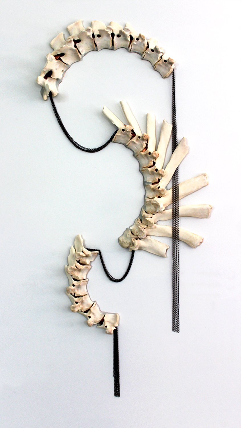    Drape of Chainged Vertebrae    Cow vertebrae, copper sheet, chain, 52"h x 24"w x 6"d 