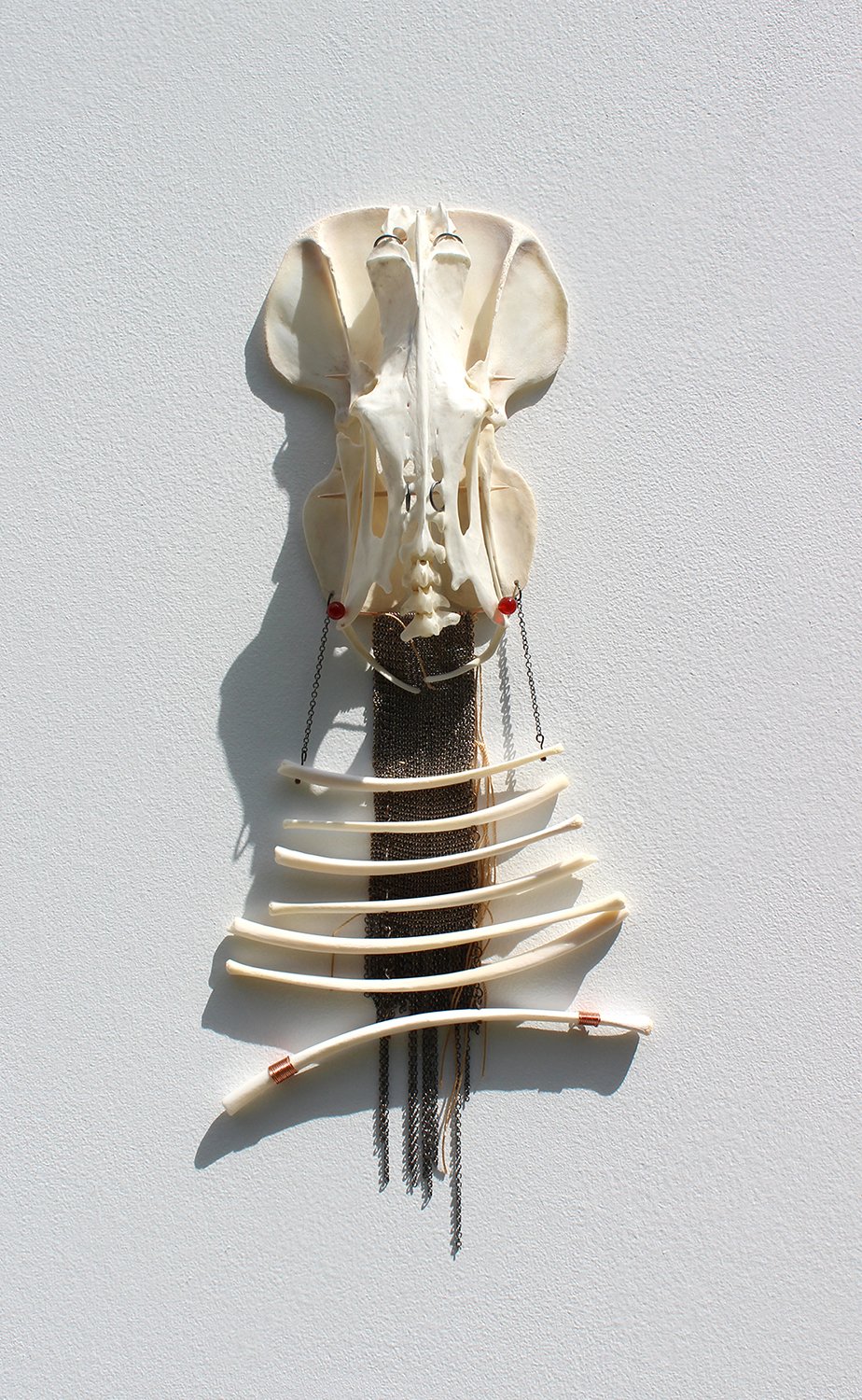    Past/Future Chainged Hauberk    Deer, mallard, raccoon, ground hog bones, chain, copper wire, silk thread, carnelian agates, 14"h x 5"w x 2"d 