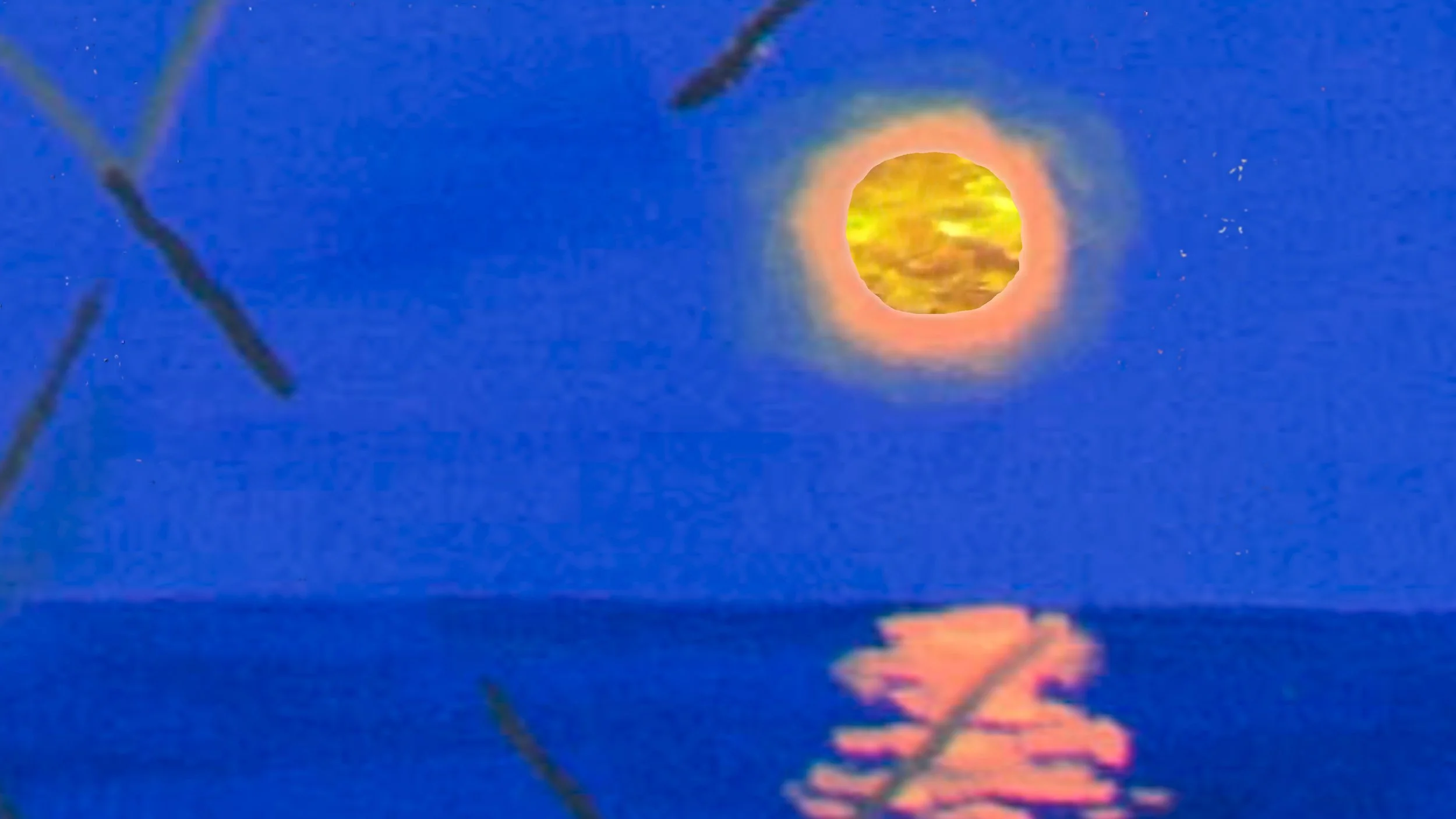 Featured Sidewalk Video Artists November 2 - 29, 2023