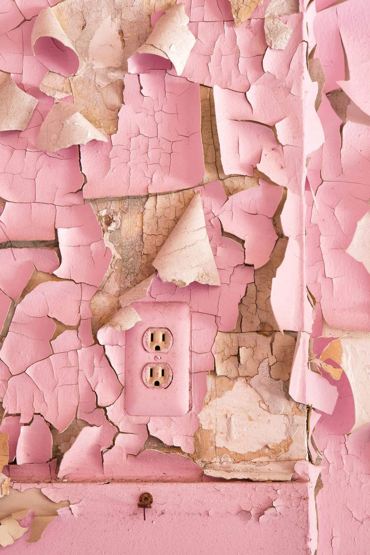 Rebecca Skinner, "Linger"