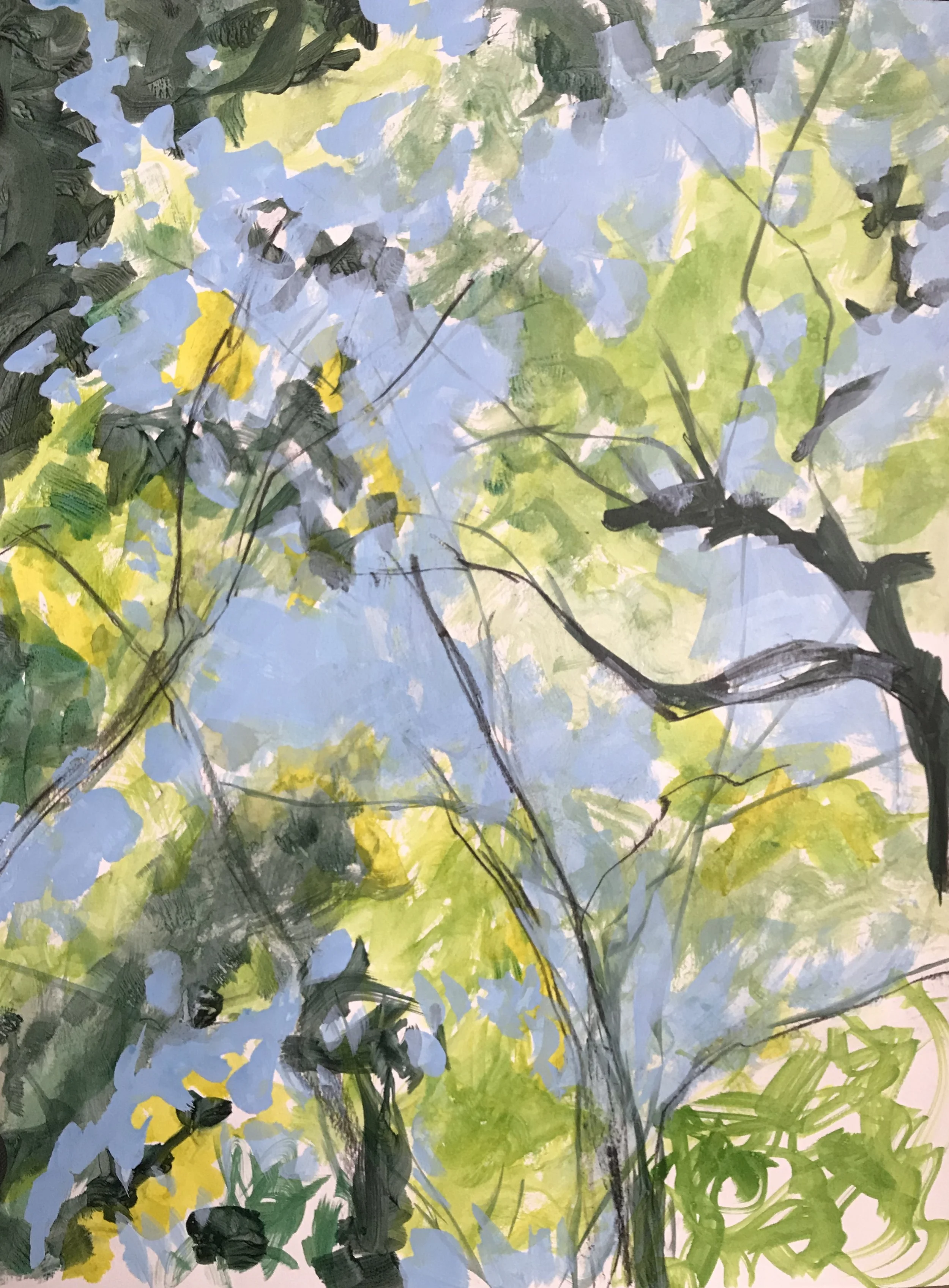 Cheryl Clinton, "Summer Tree Study"