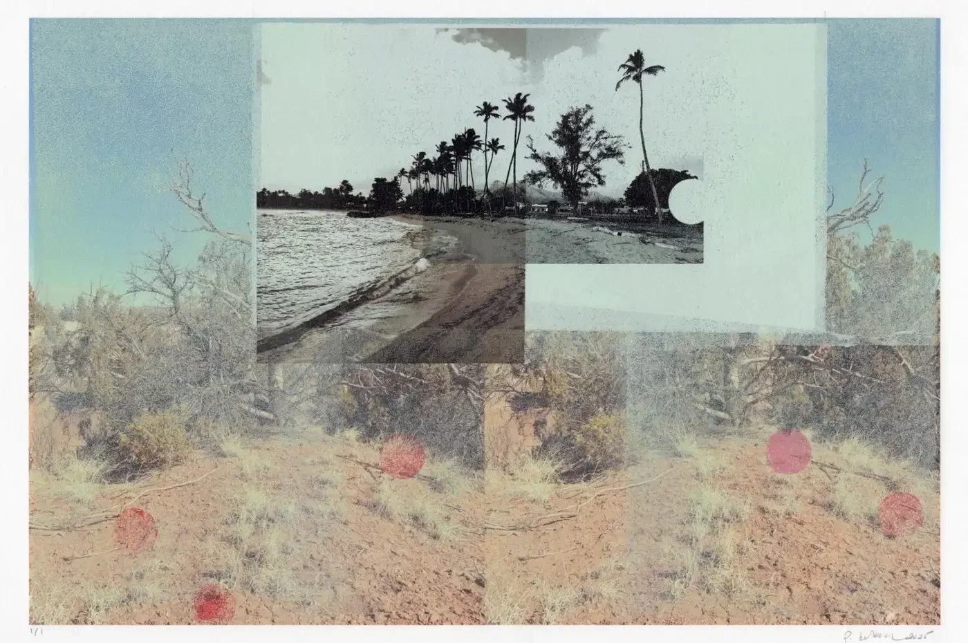 Patty deGrandpre, "Landlocked (Palm Trees)," Mixed Media Print, Available